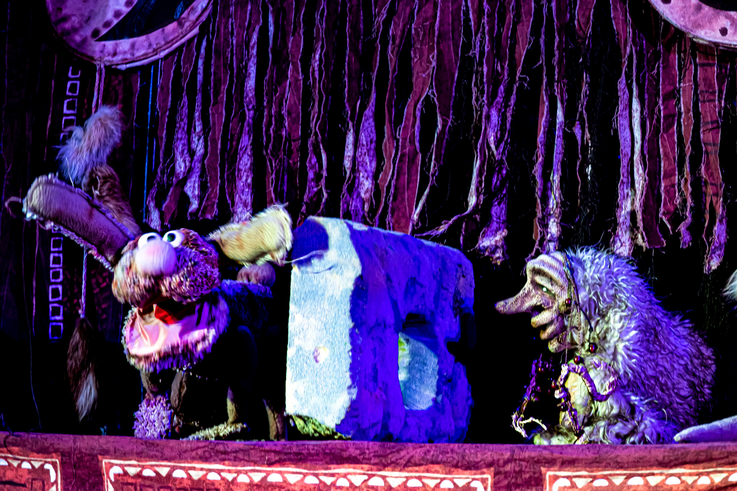 Легенды о Сочи Саквояж. Фотограф в Сочи Юрий Шептаев