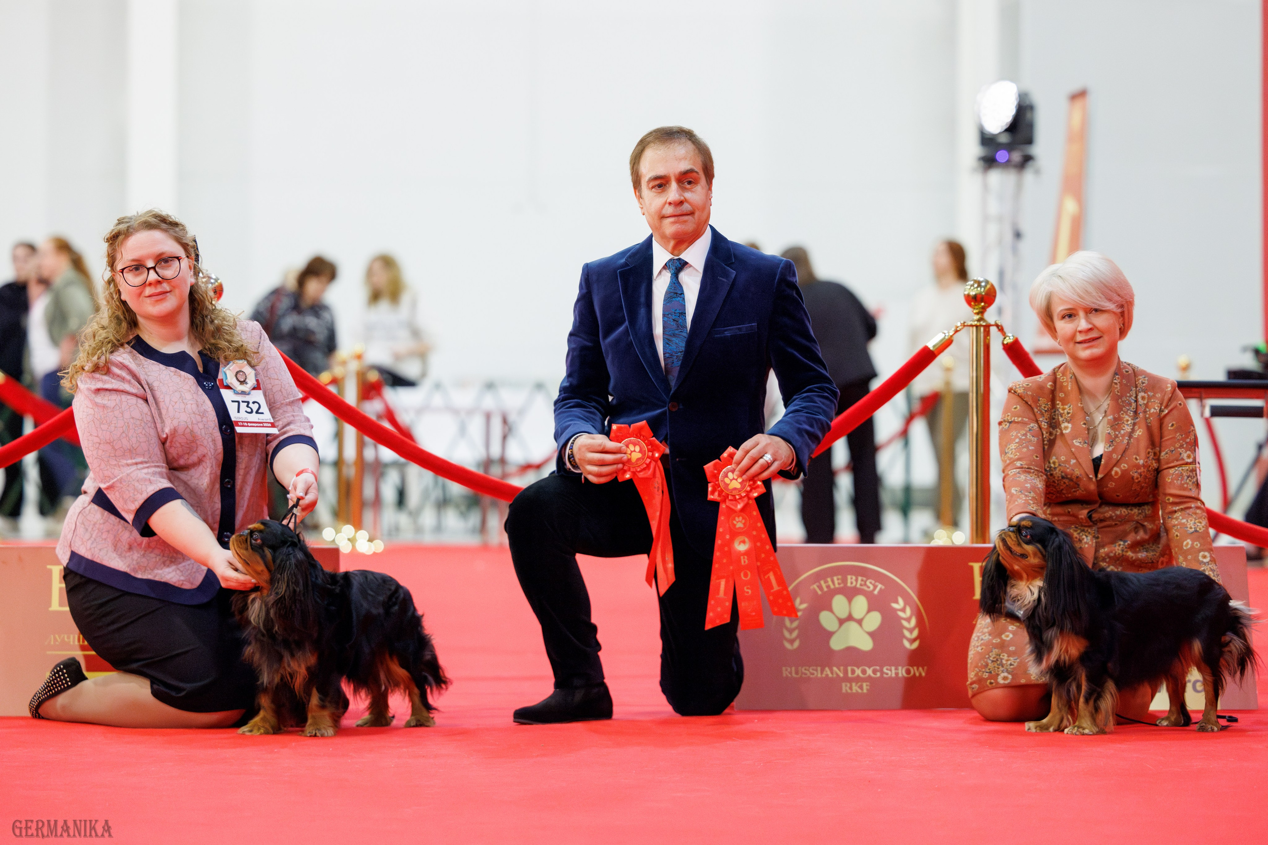 Лучшие Собаки России 17-18.02.2024. Фотограф-анималист Юлия Германика