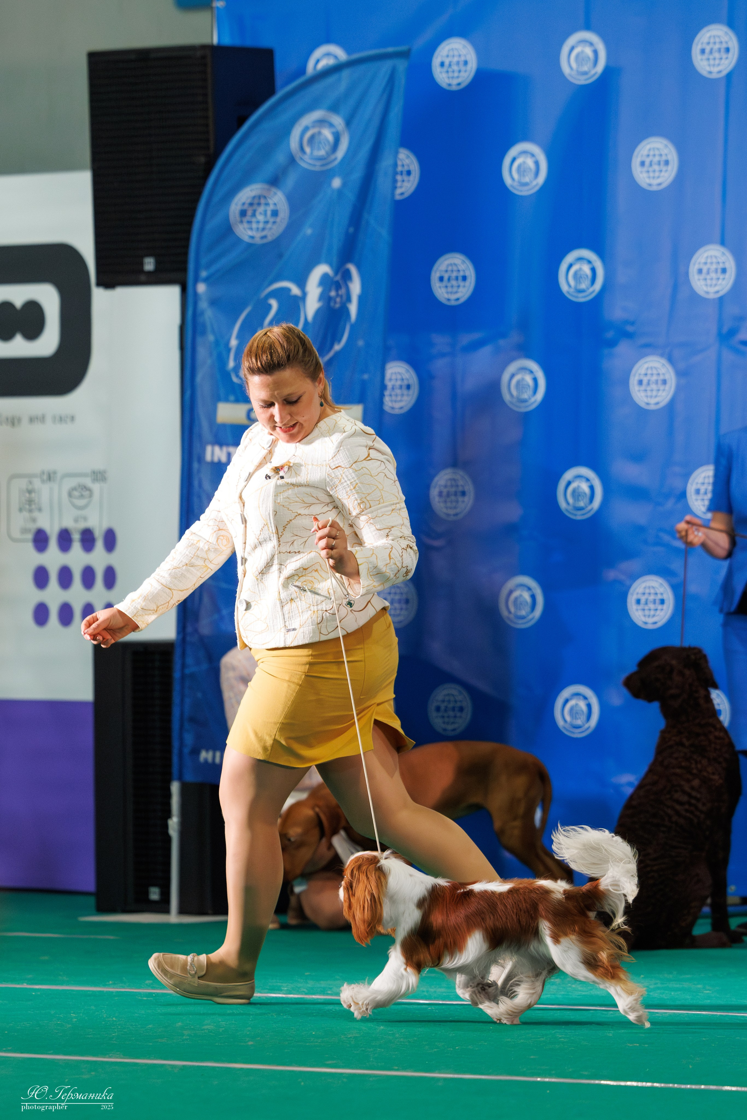 Минск 31.05-1.06.2025. Фотограф-анималист Юлия Германика