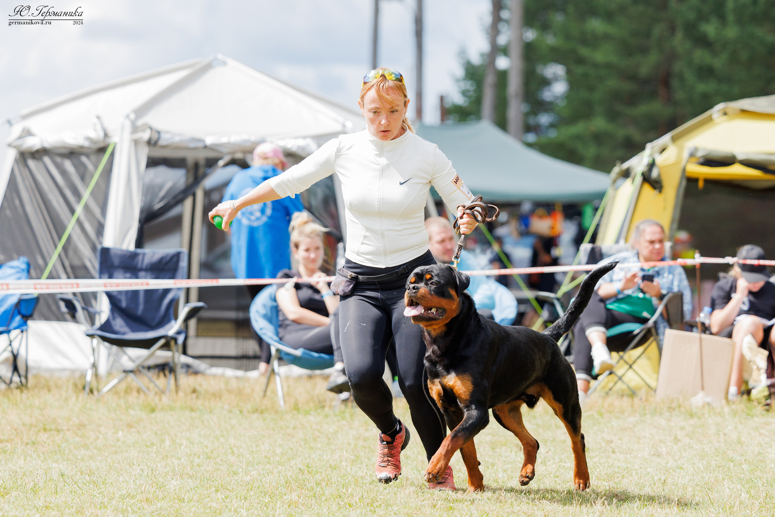 ПК и КЧК ротвейлеры Тверь 6-7.07.2024. Фотограф-анималист Юлия Германика