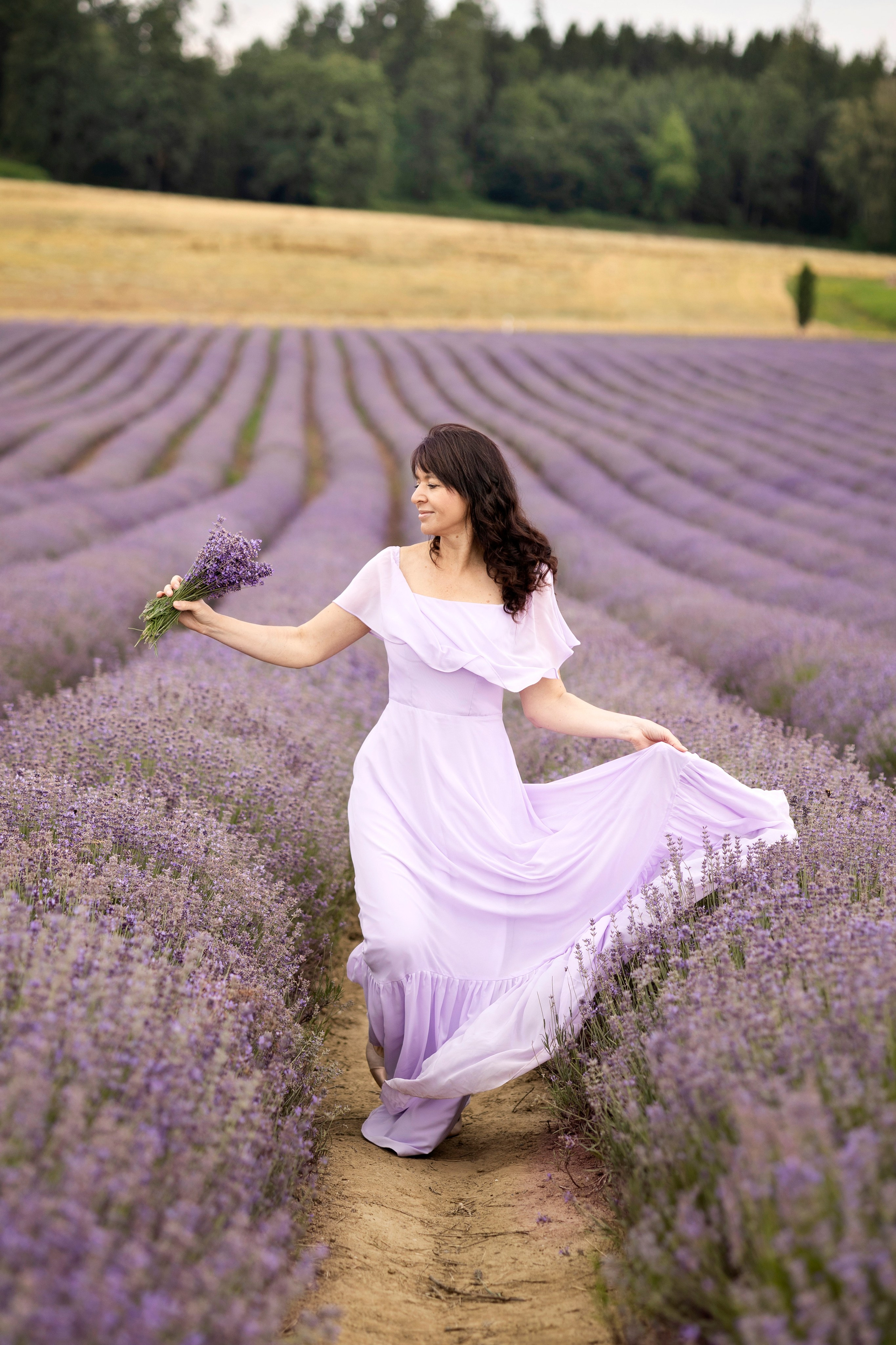 Lavender. Photographer in Munich