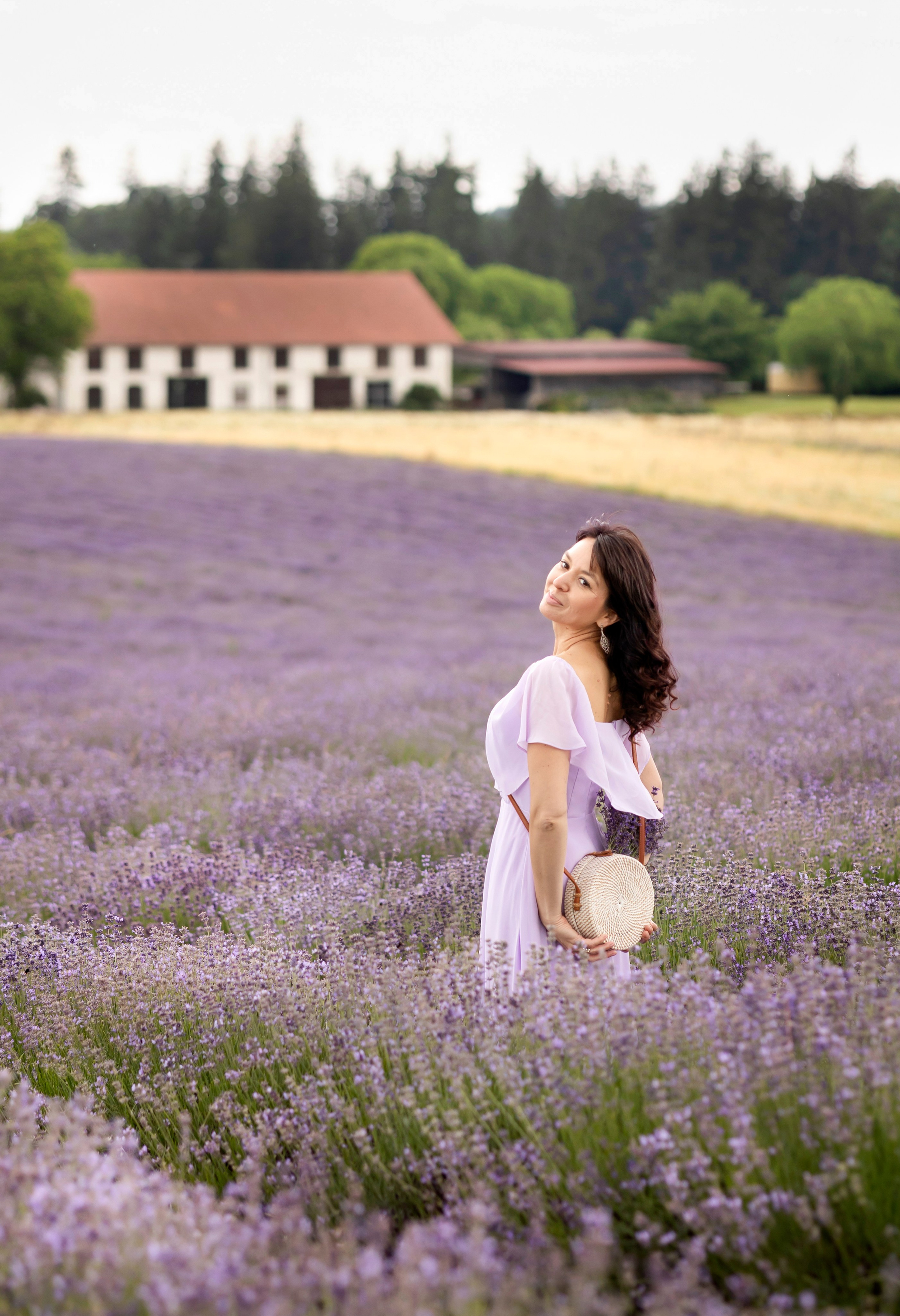 Lavender. Photographer in Munich