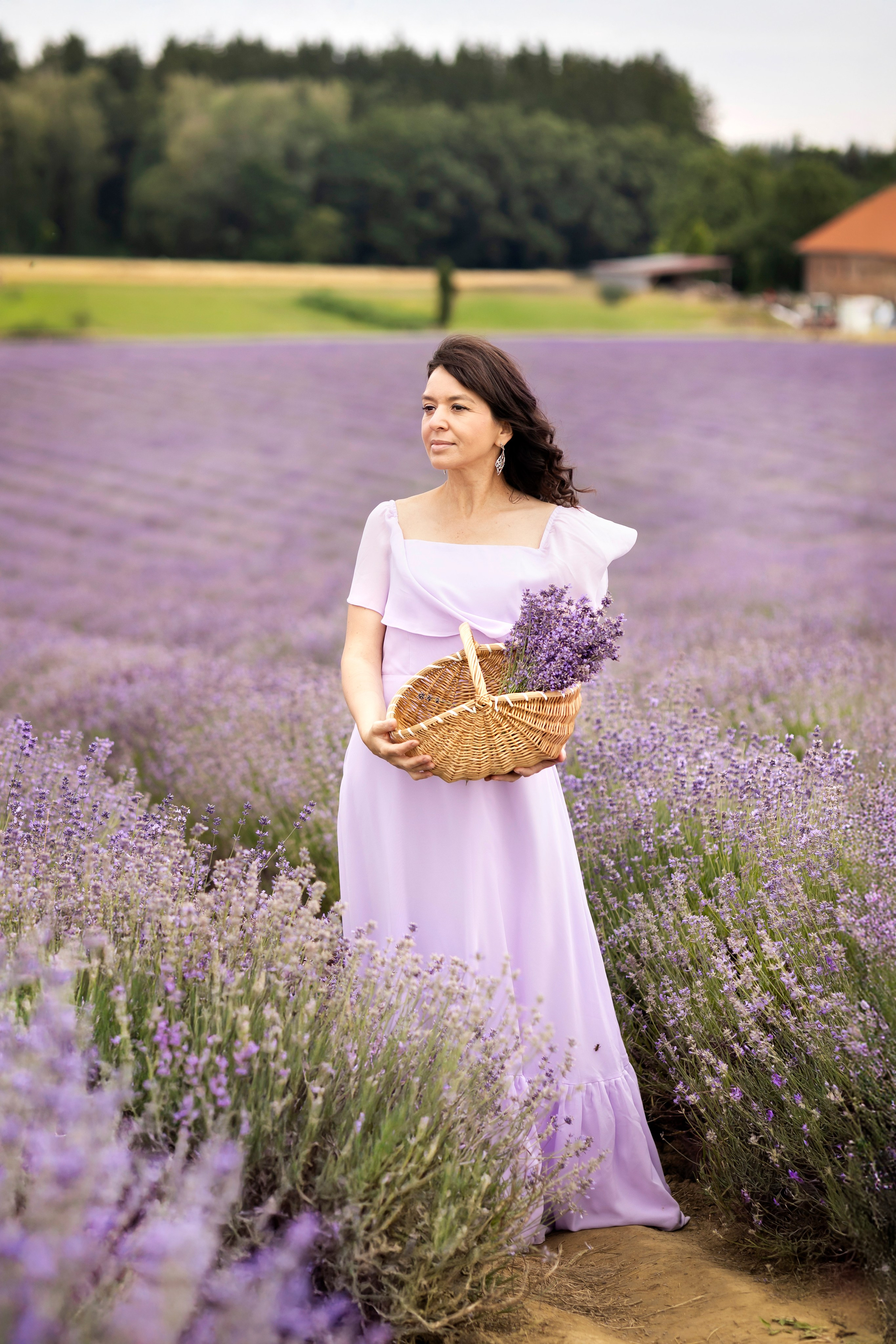 Lavender. Photographer in Munich