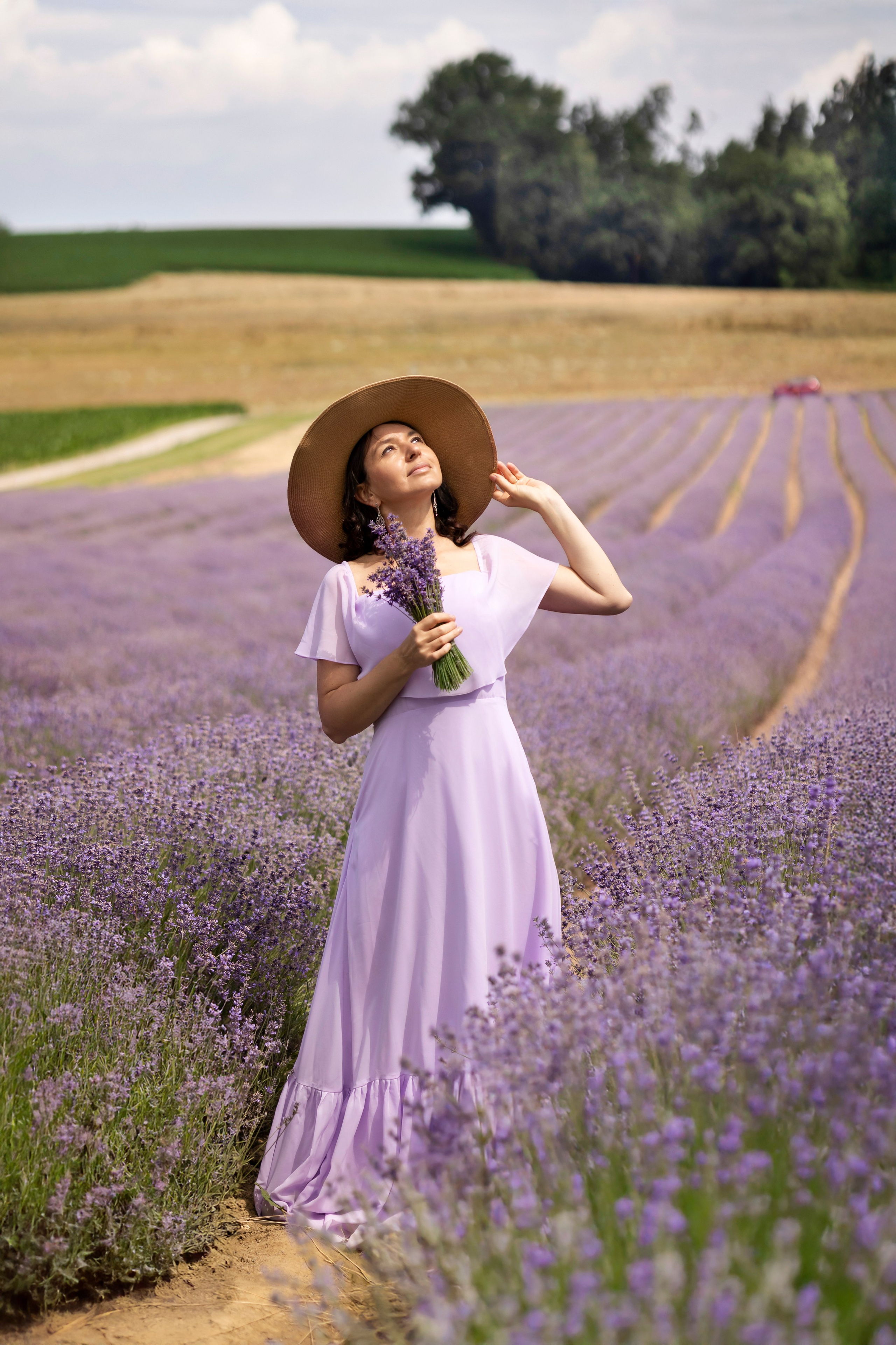 Lavender. Photographer in Munich