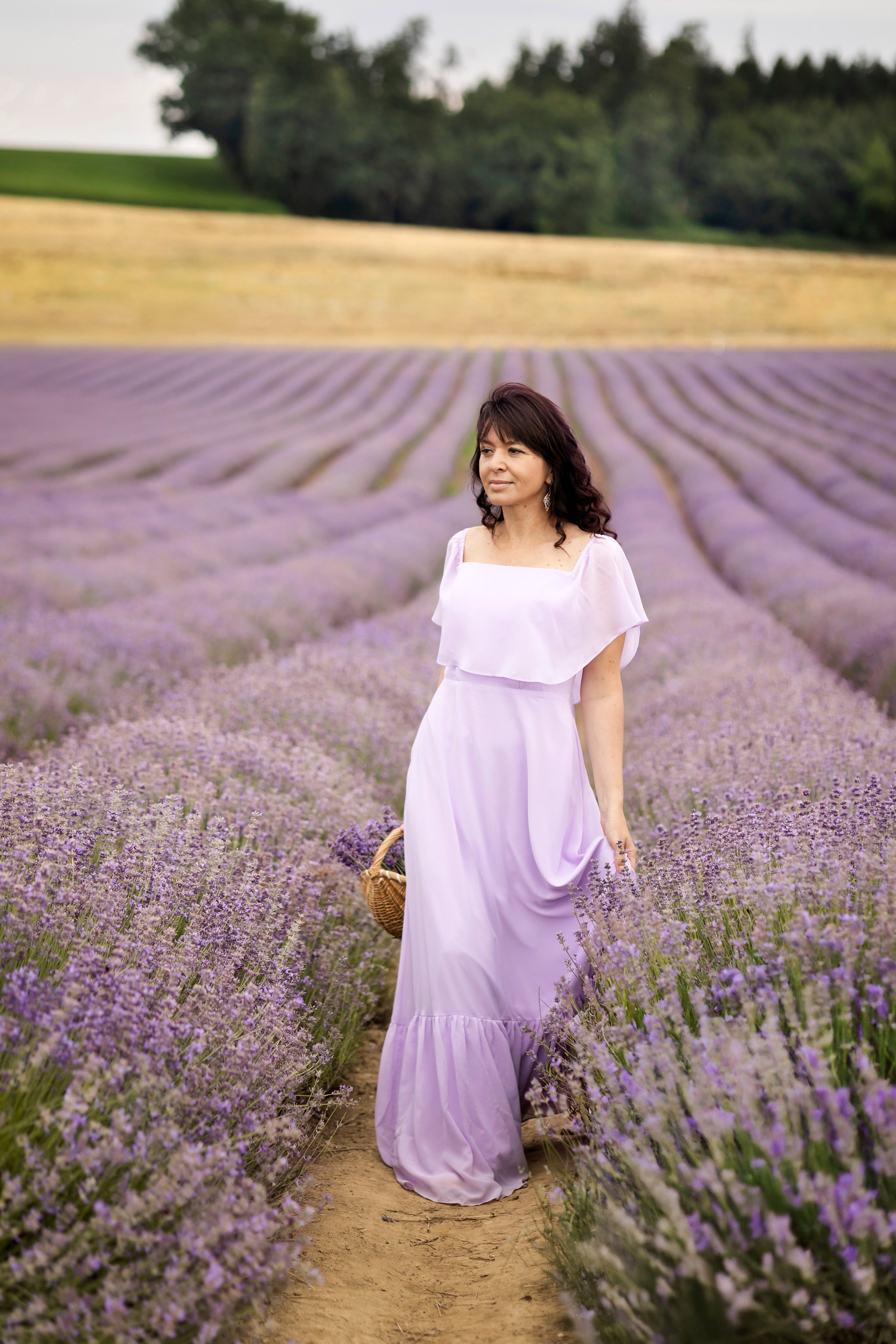 Lavender. Photographer in Munich