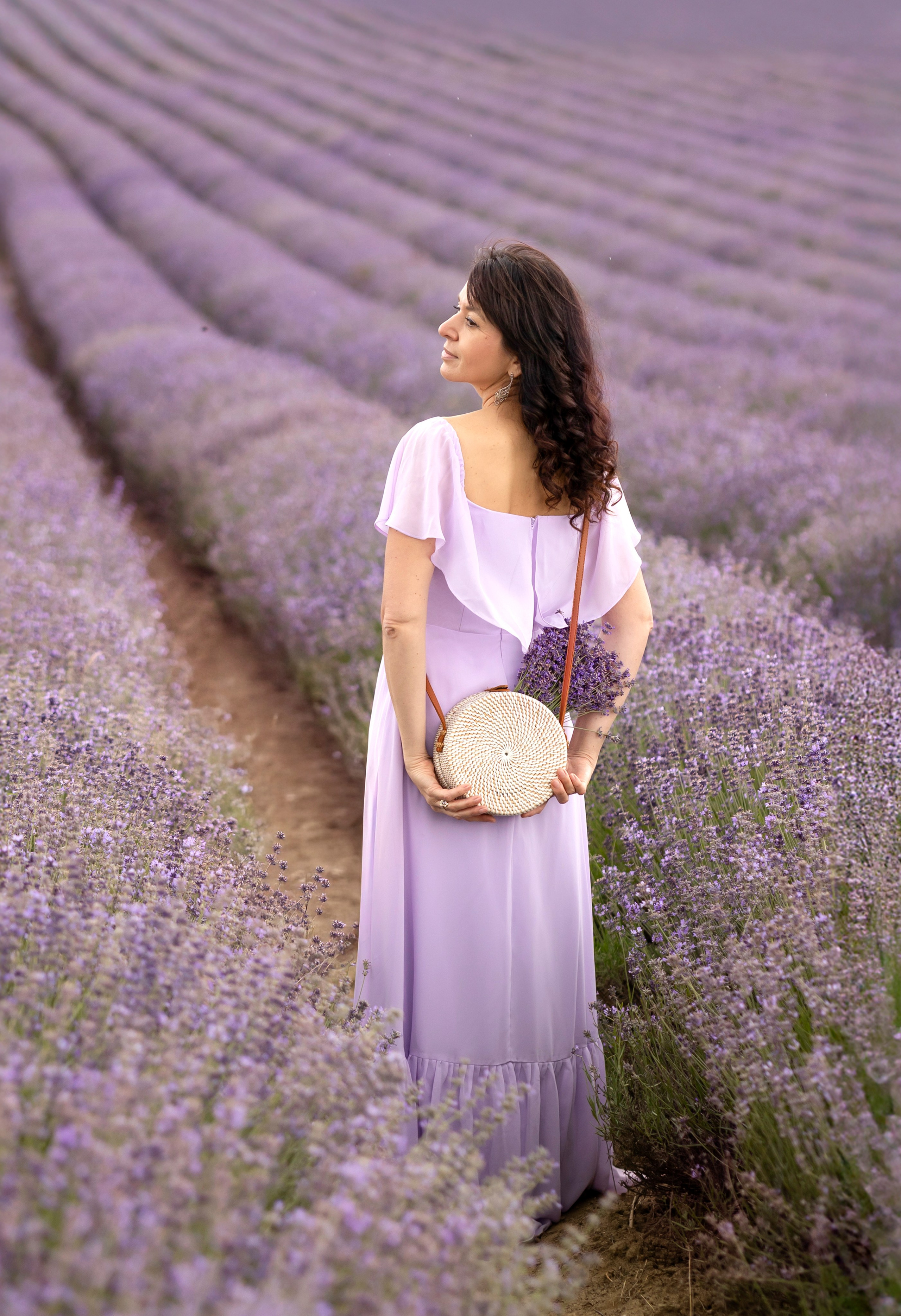 Lavender. Photographer in Munich