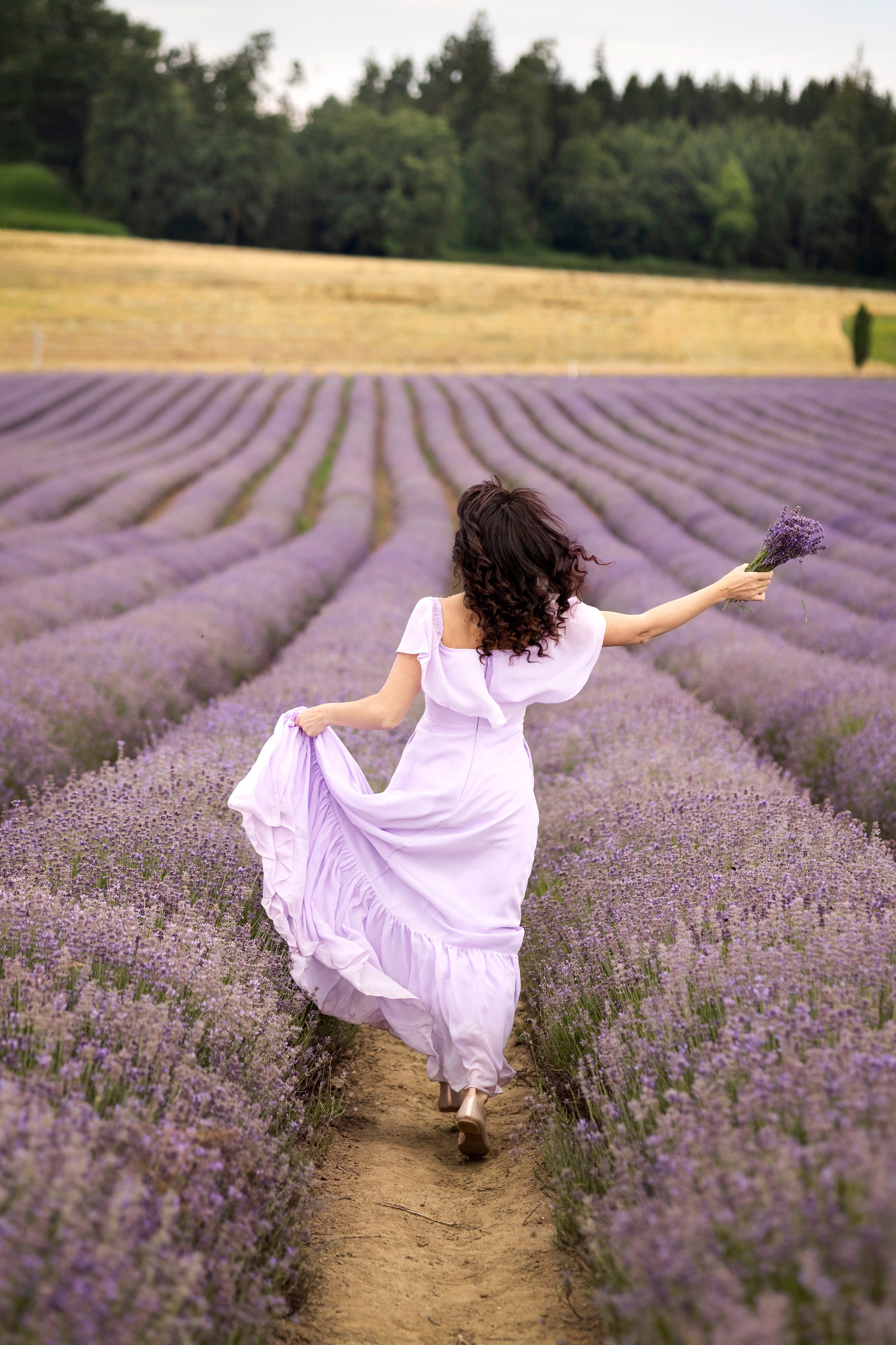 Lavender. Photographer in Munich