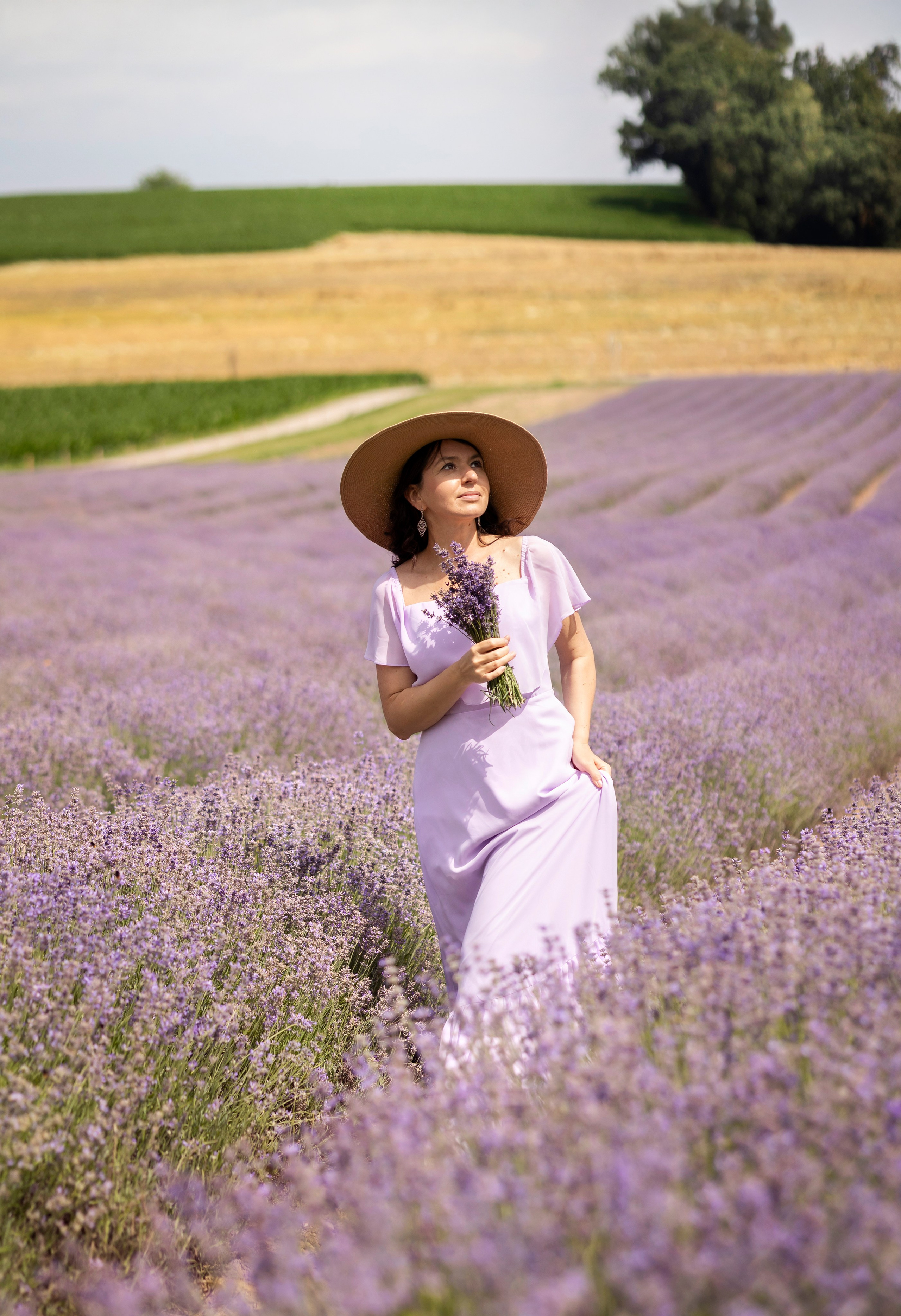Lavender. Photographer in Munich