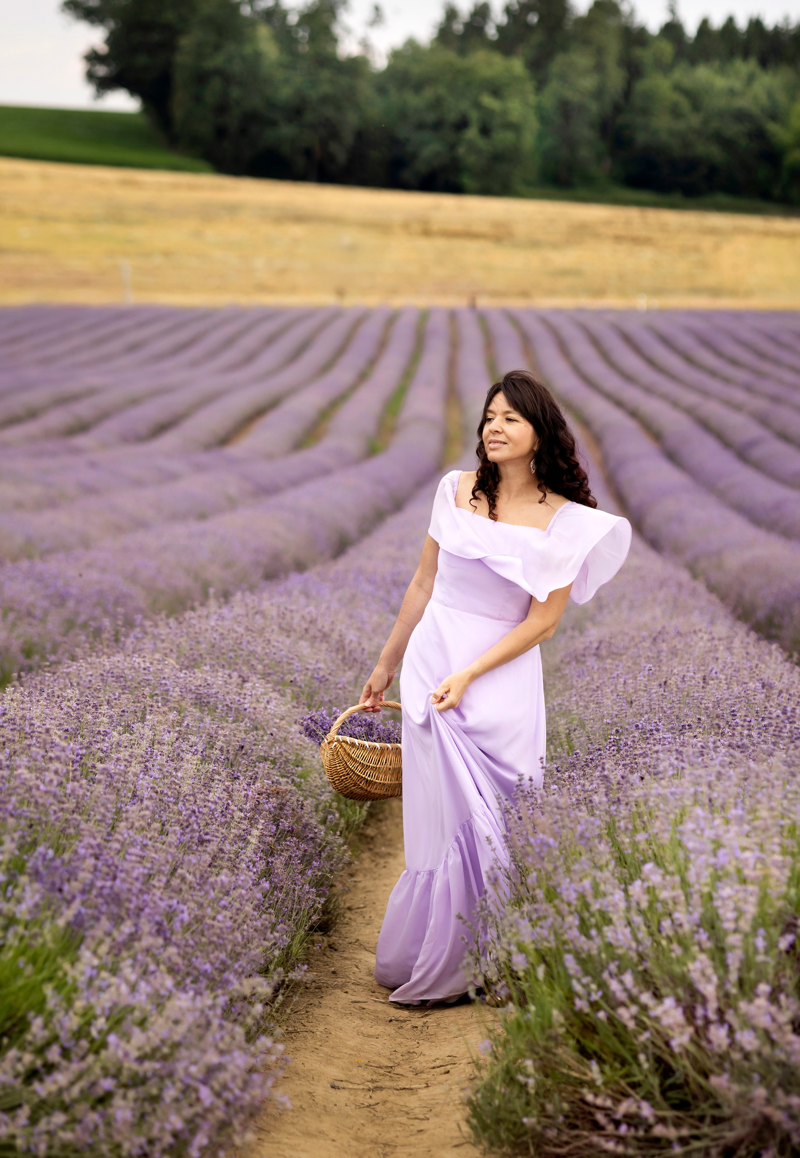 Lavender. Photographer in Munich