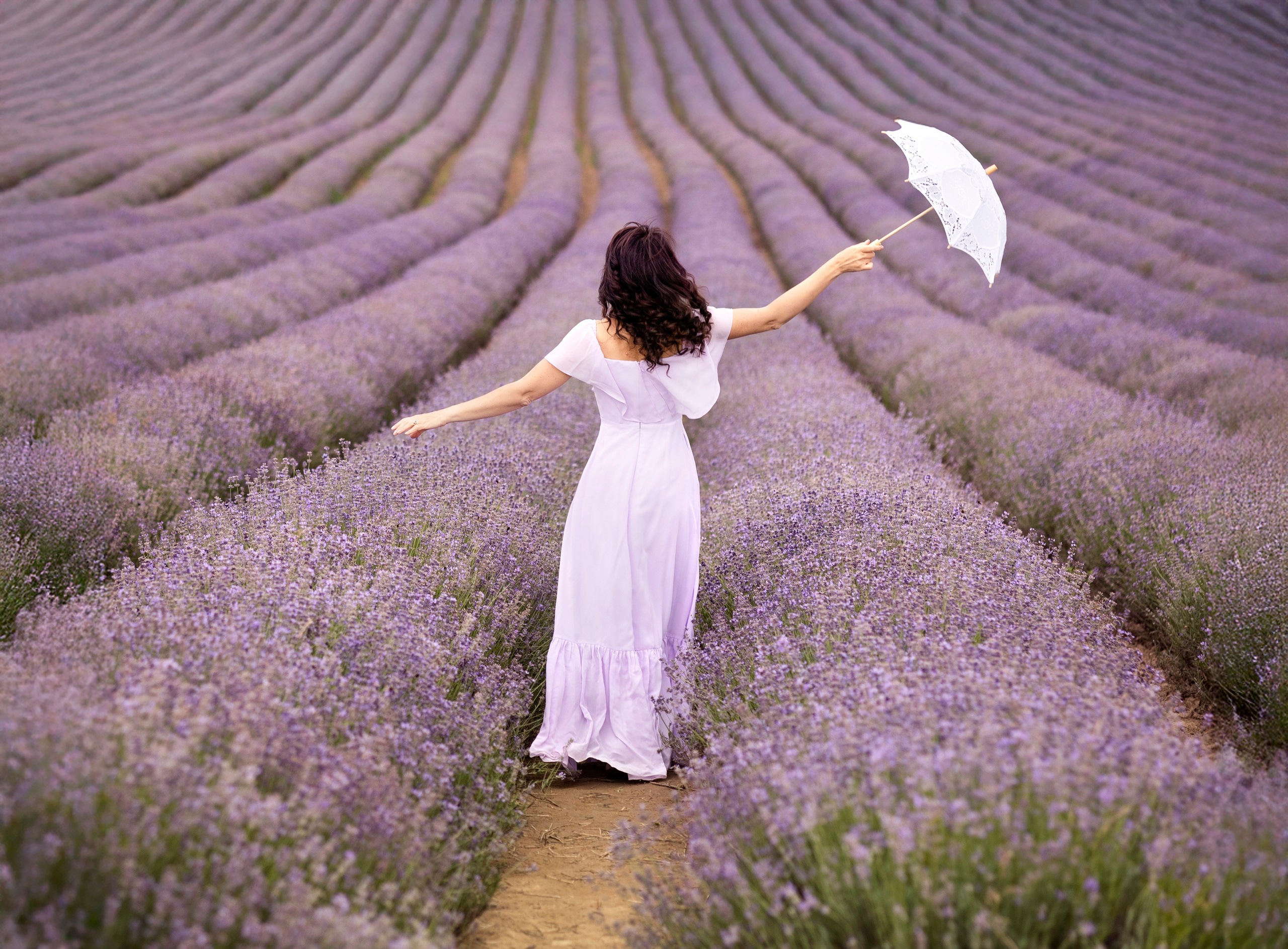 Lavender. Photographer in Munich