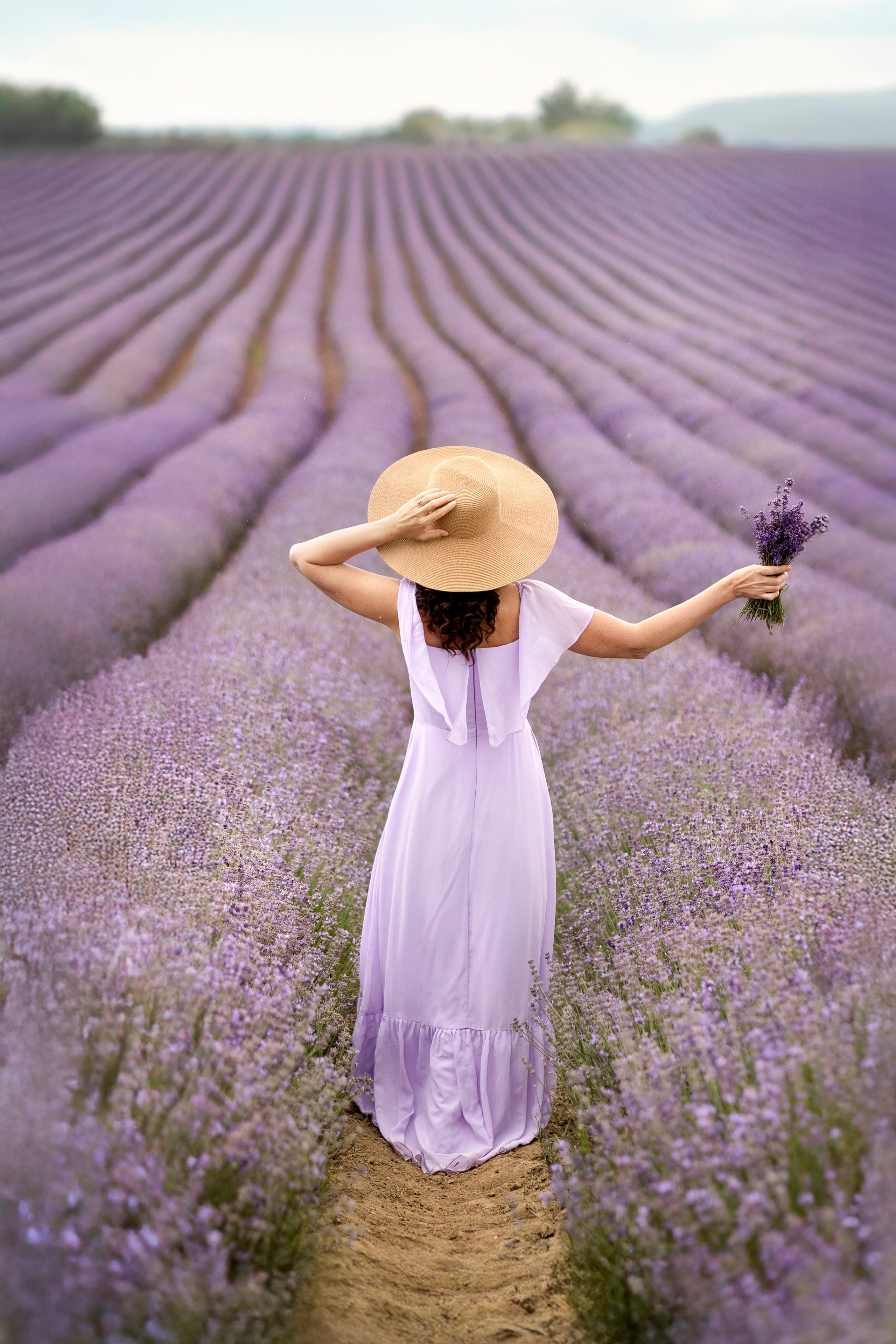 Lavender. Photographer in Munich