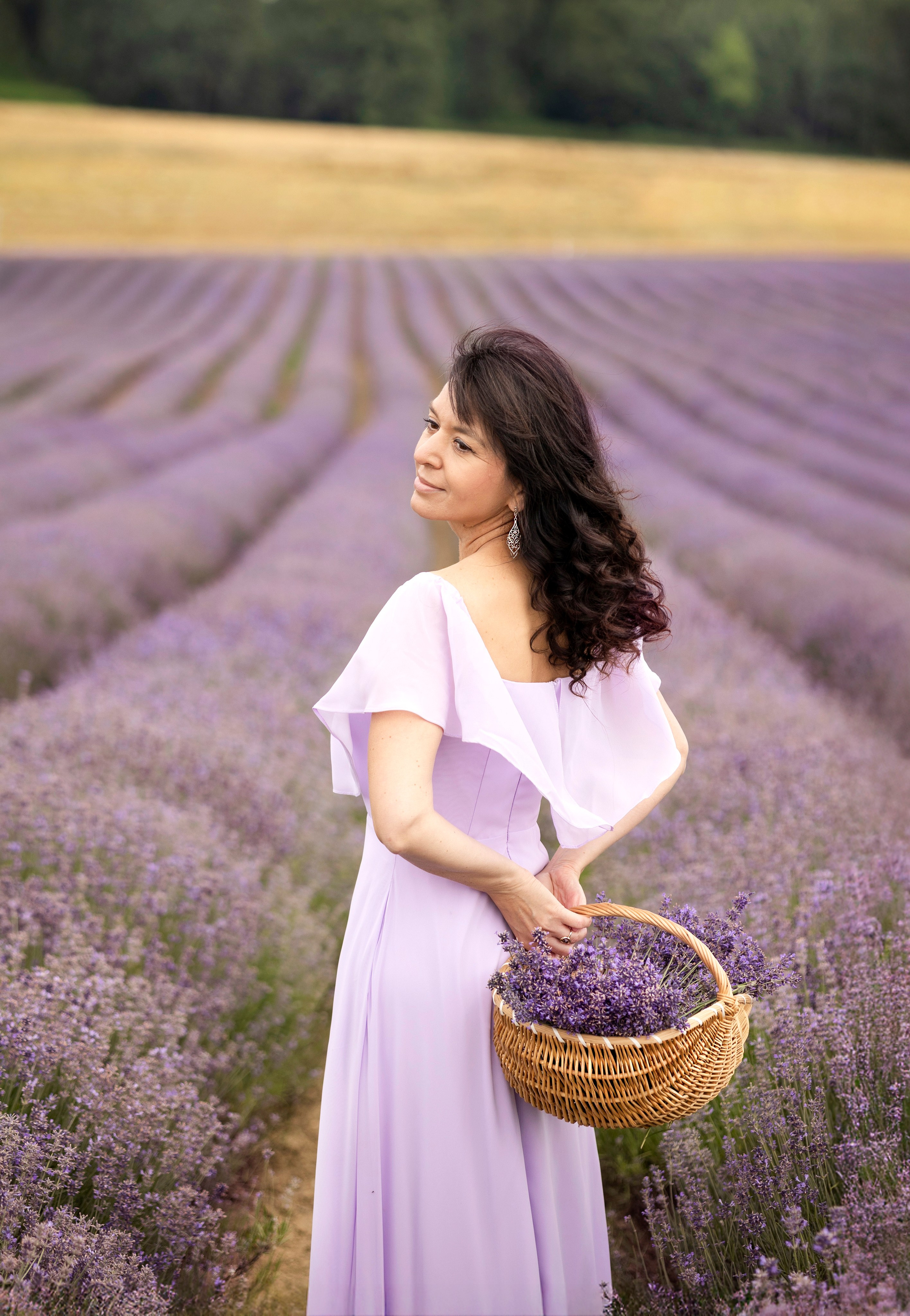 Lavender. Photographer in Munich