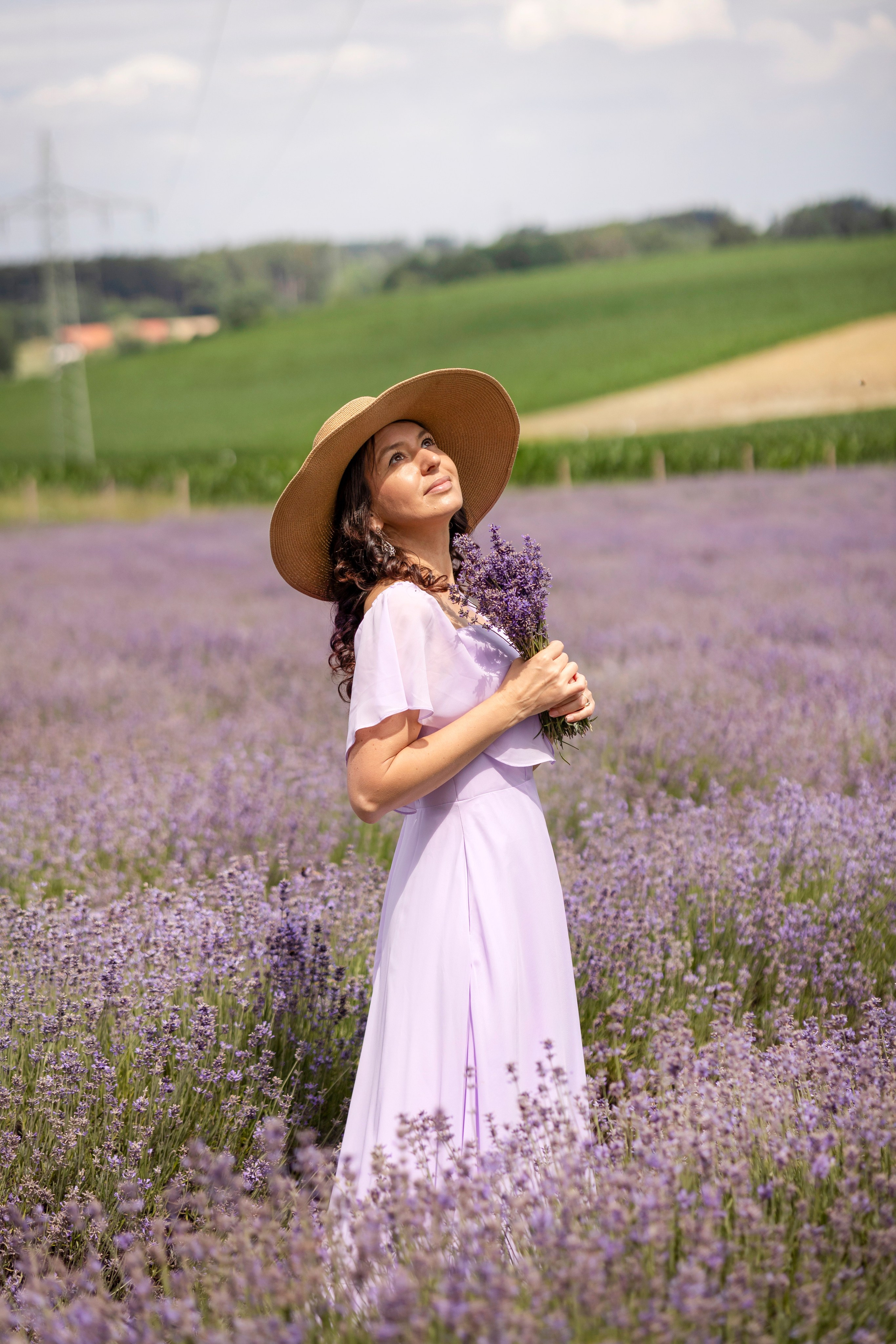 Lavender. Photographer in Munich