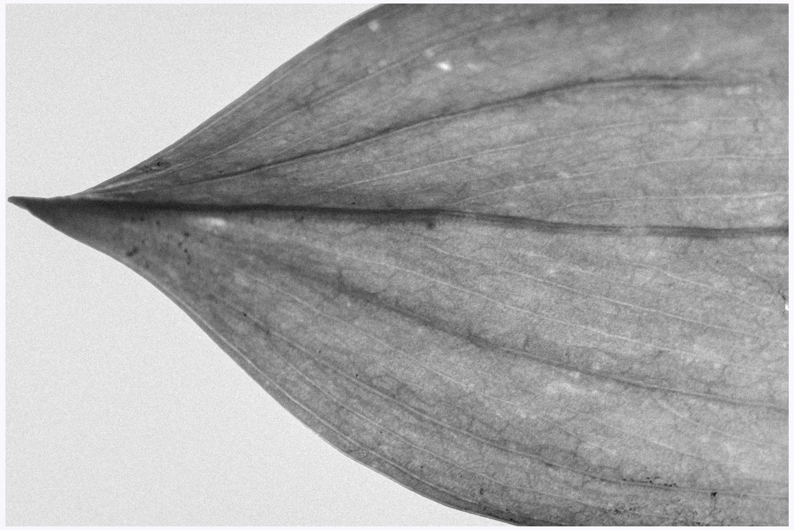 Female portrait. AI — artist | Documentary Photographer St. Petersburg, Milan