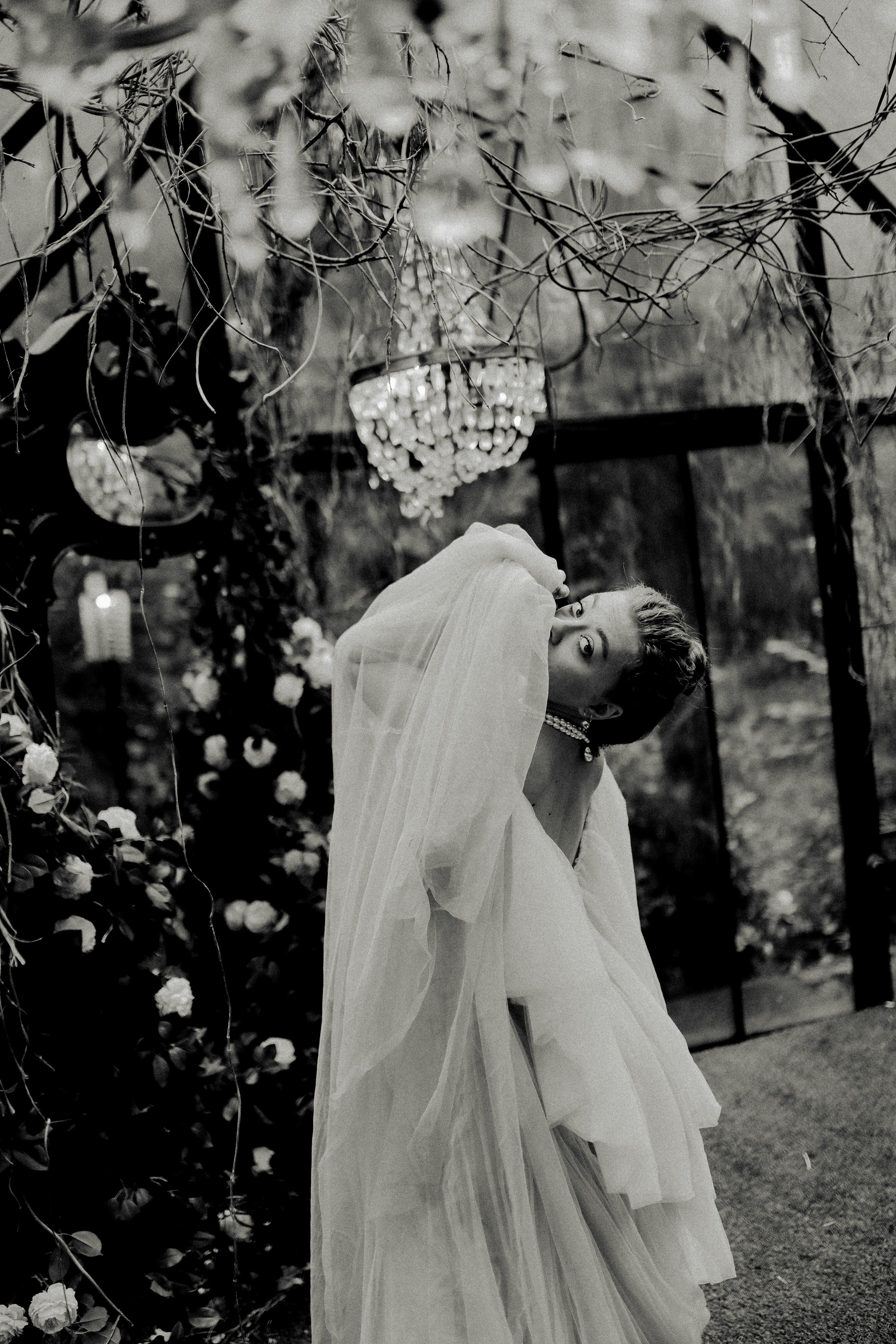 Зачарованный лес