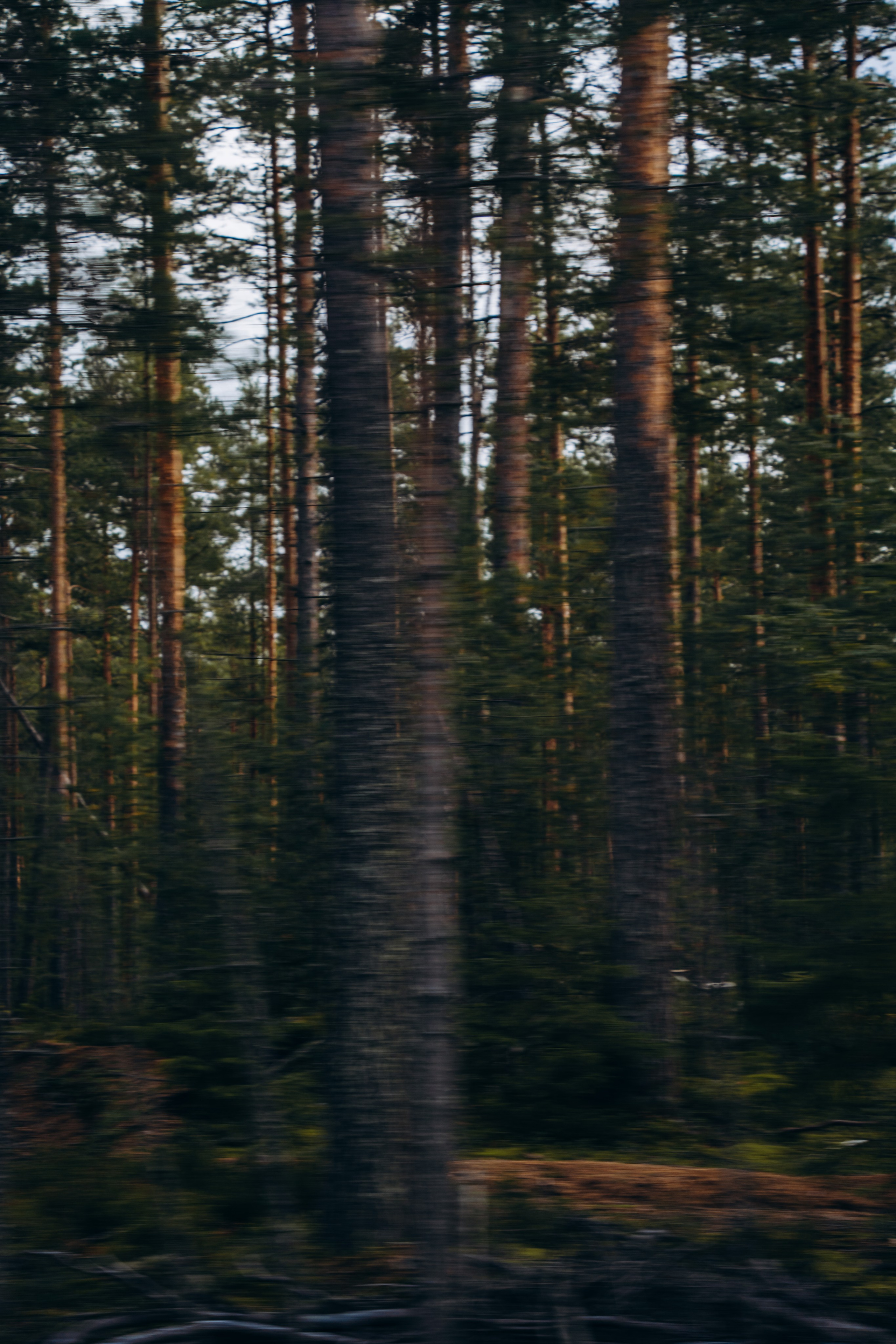 СЕВЕР. Event фотограф Степанова Александра