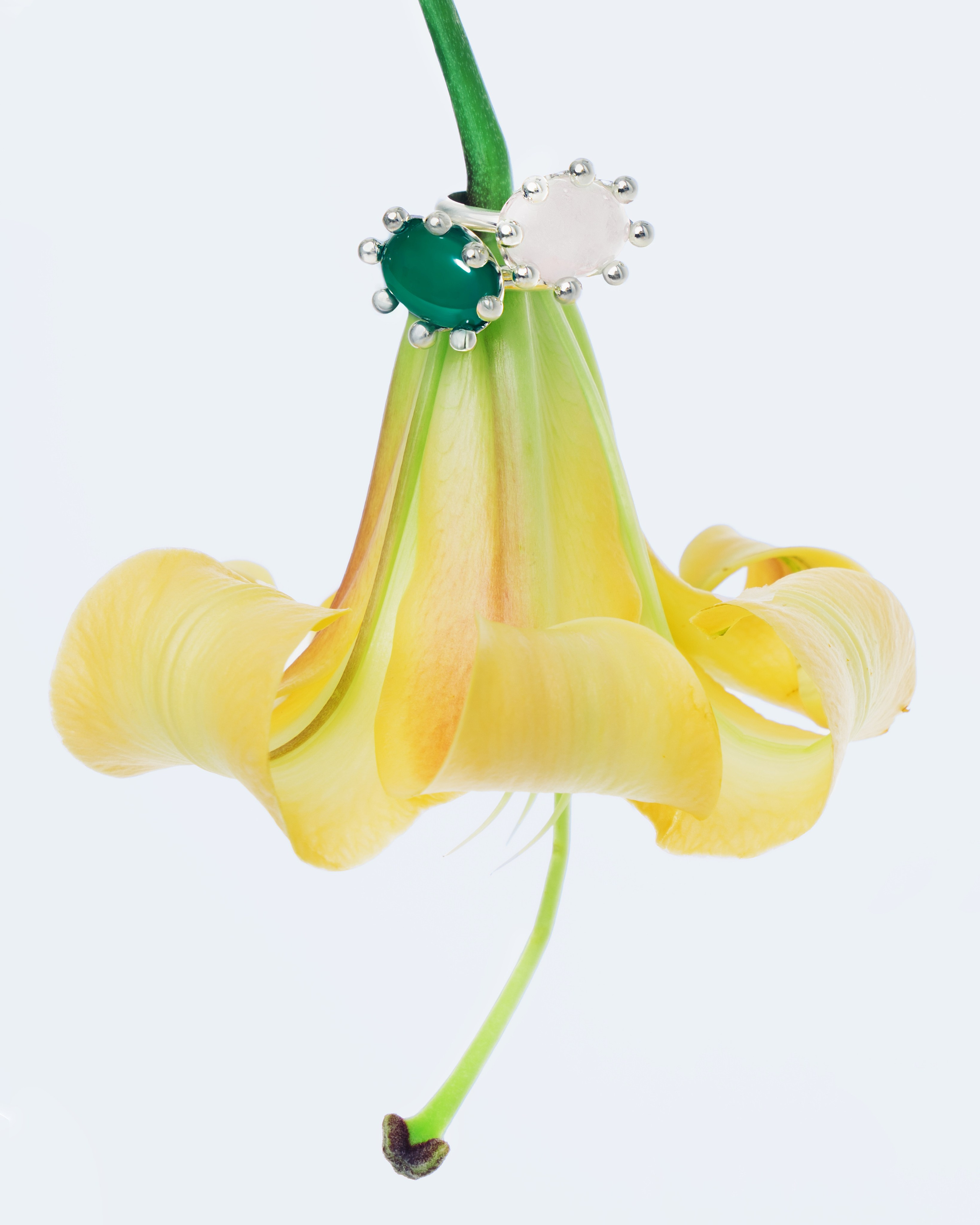 Bohoann. Fashion фотограф и Арт директор. Санкт-Петербург и Москва