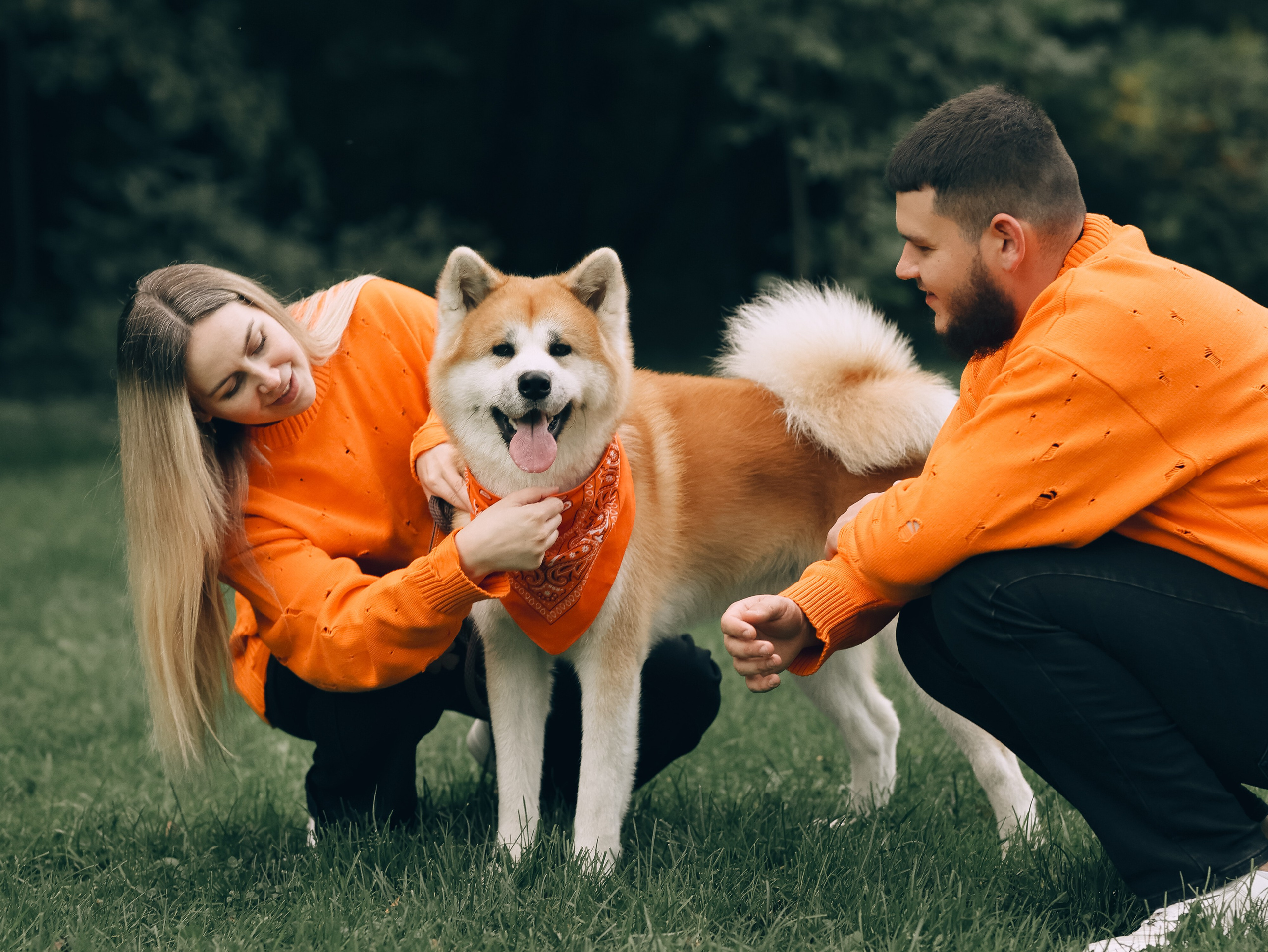 Гранд, Вика и Степан. Фотограф-анималист в Москве Кириллова Татьяна