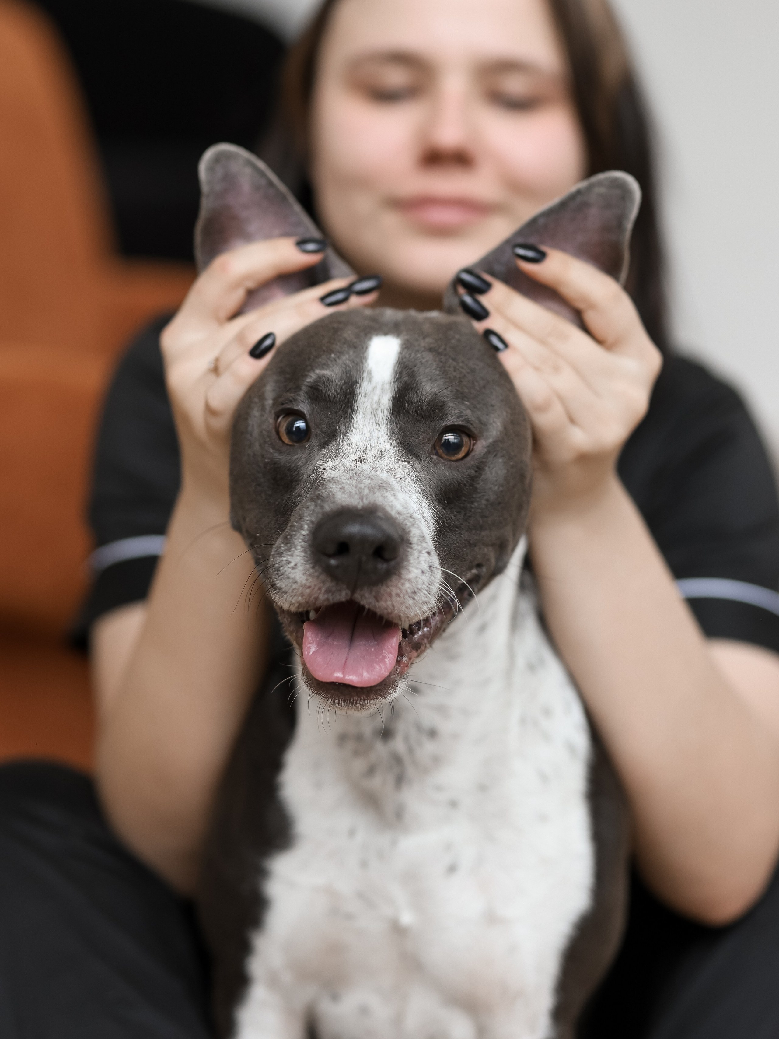 Тортик Даша и Никита. Фотограф-анималист в Москве Кириллова Татьяна