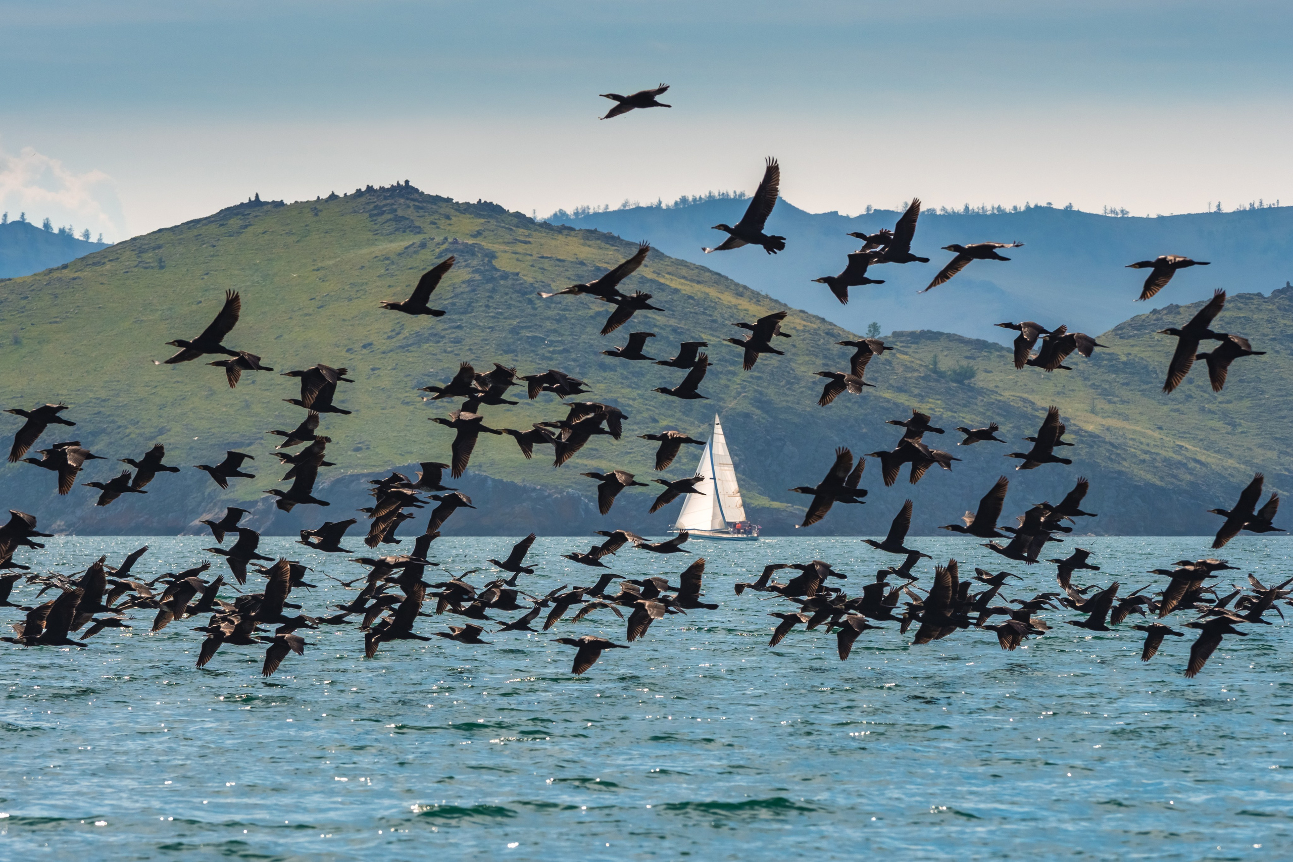 ЯХТЫ / МОРЕ / ПУТЕШЕСТВИЯ. Сложная съёмка для бизнеса b2b / Яхтенный фотограф / Корпоративные календари / Промышленная съёмка / Спортивный репортаж