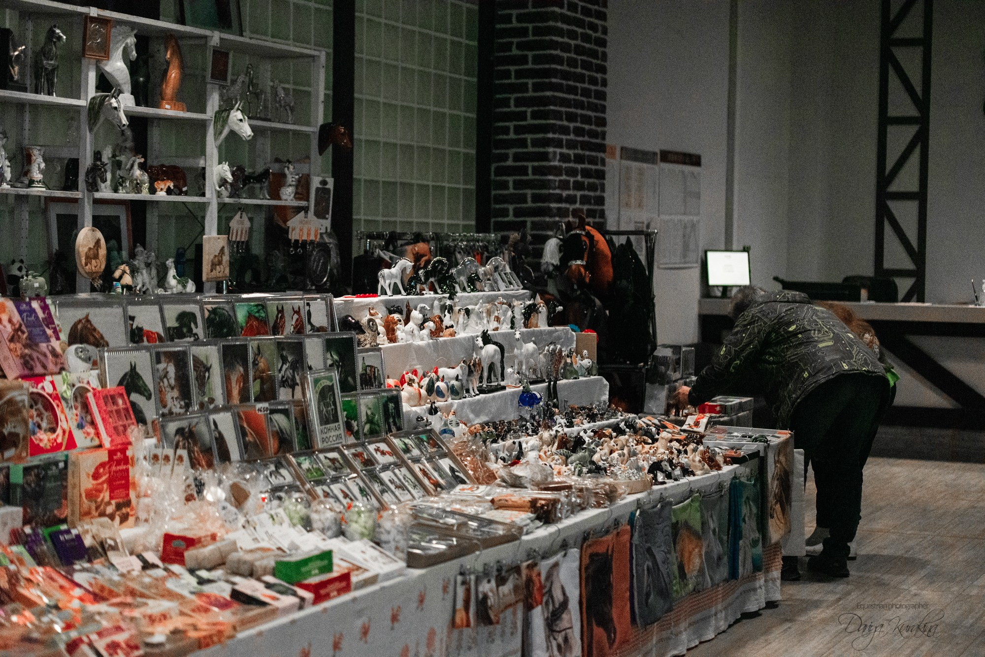 8-я международная выставка Конная Россия. Конный фотограф Куракина Дарья • Фотосессии с лошадьми