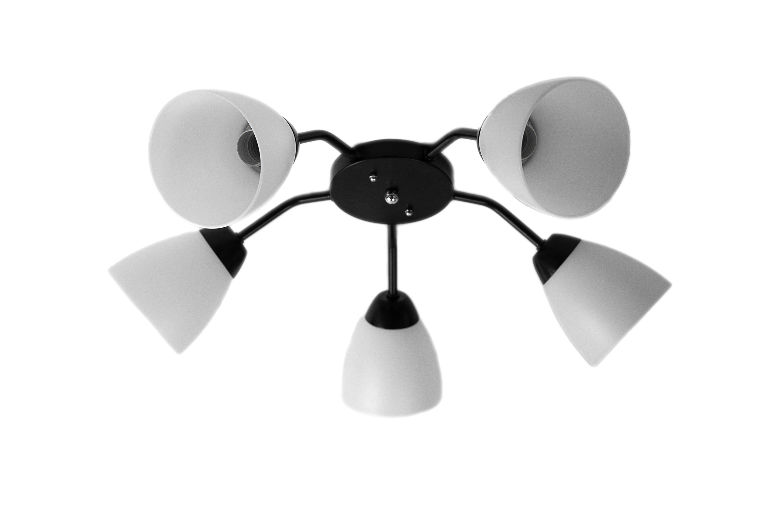 Каталожная съемка. Anushikcreates