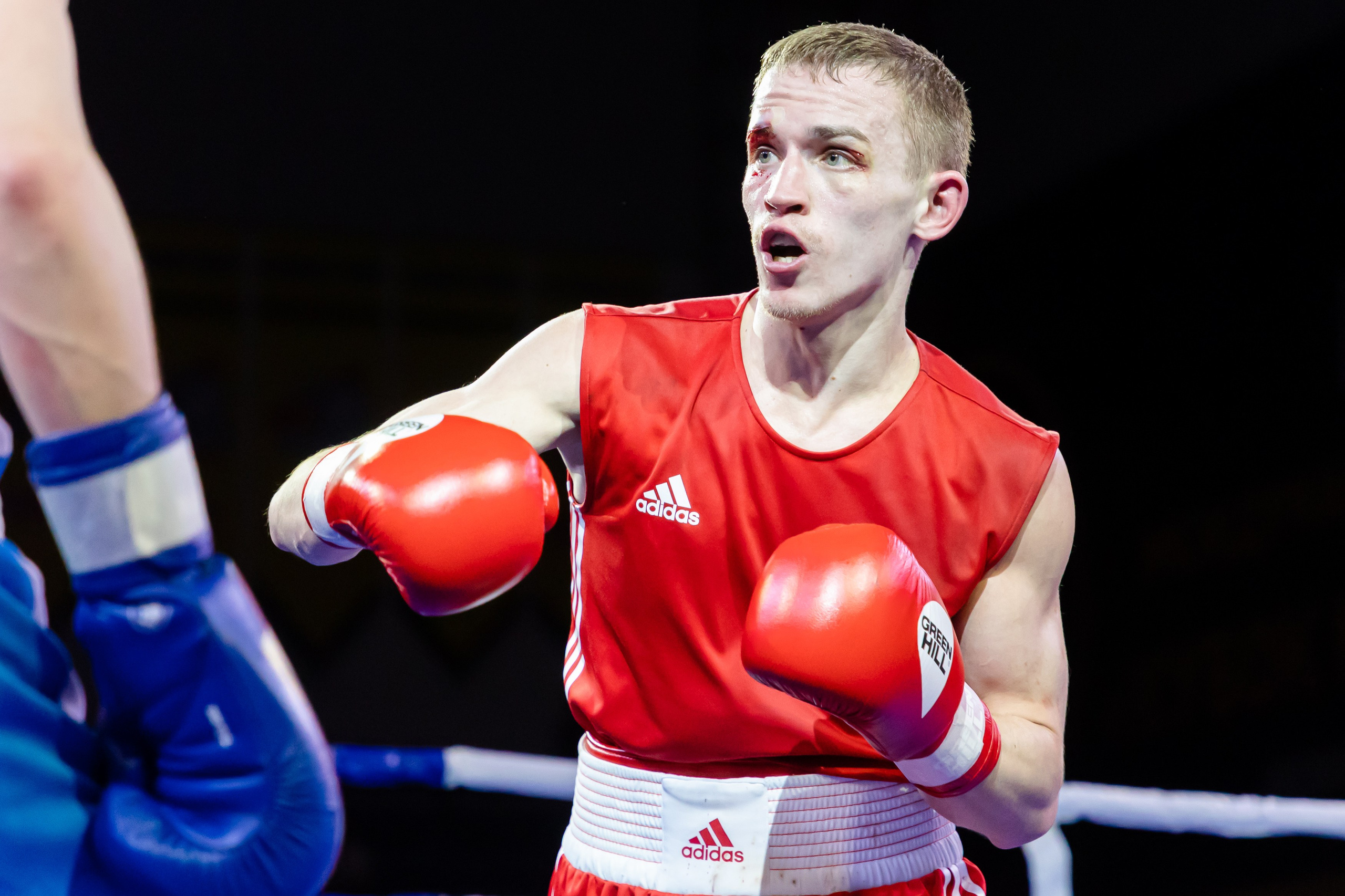 Бокс. Репортажный фотограф Александр Чусь