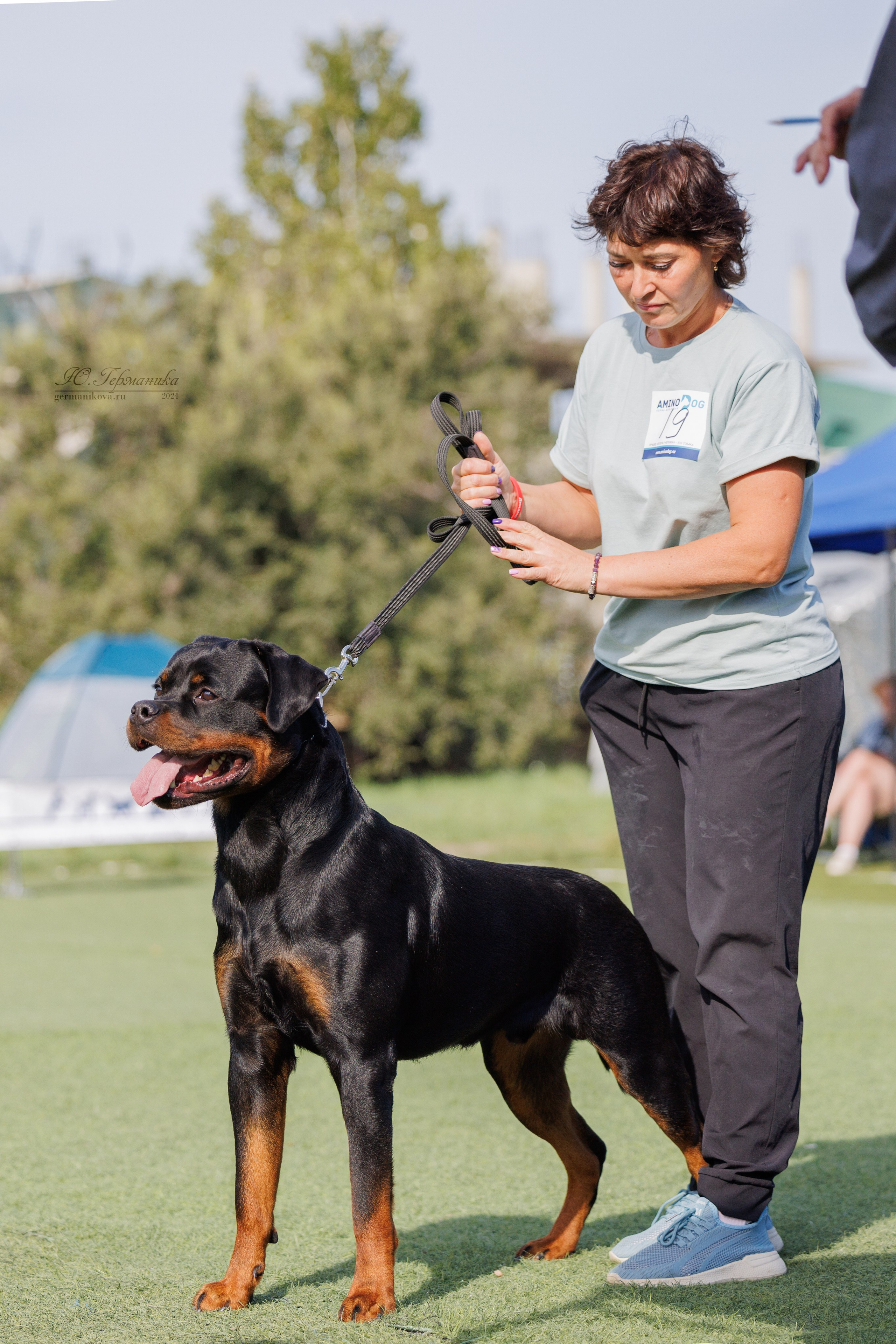 Анапа ротвейлеры 14-15.09.2024. Фотограф-анималист Юлия Германика