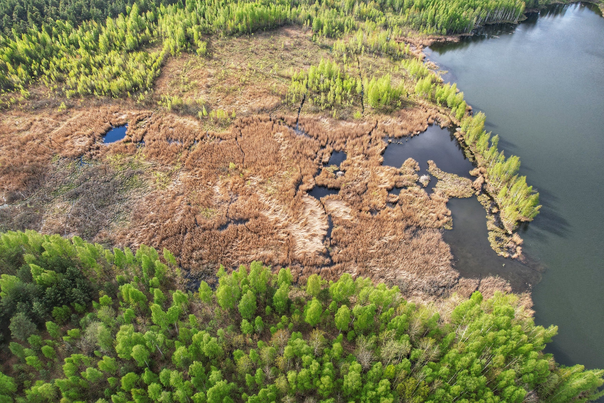 Аэросъёмка (фото). Фото и видеосъёмка в Ярославле | Грибов Медиа контент студия  — от 2500 ₽/час