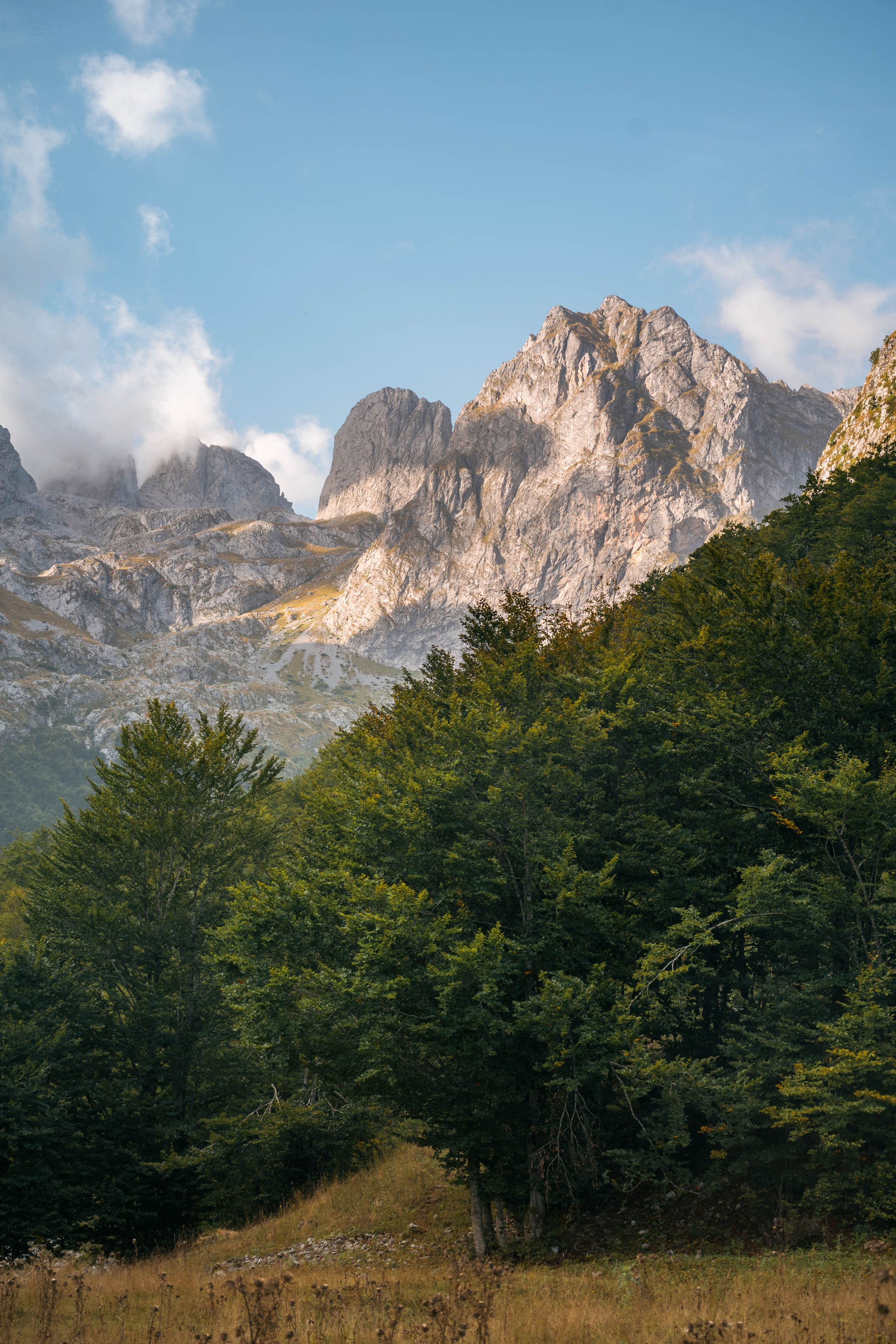 ДОЛИНА ГРЕБАЙЕ. ЧЕРНОГОРИЯ. Фотограф в Белграде Чугреева Елена