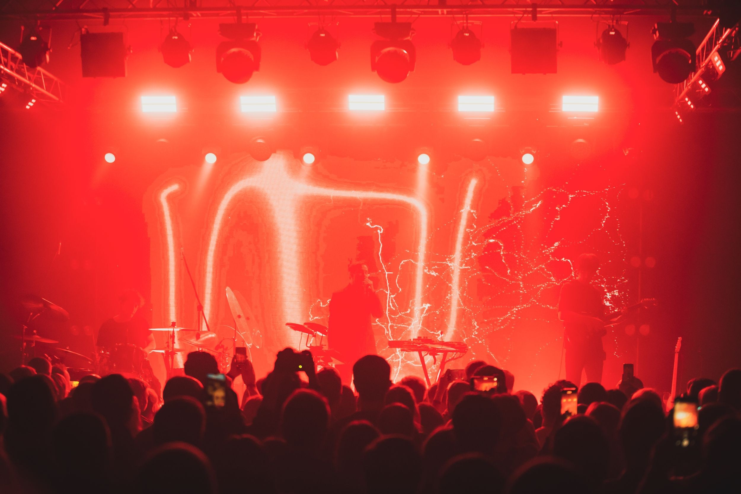 Дельфин. Репортажный фотограф Алексей Пирязев