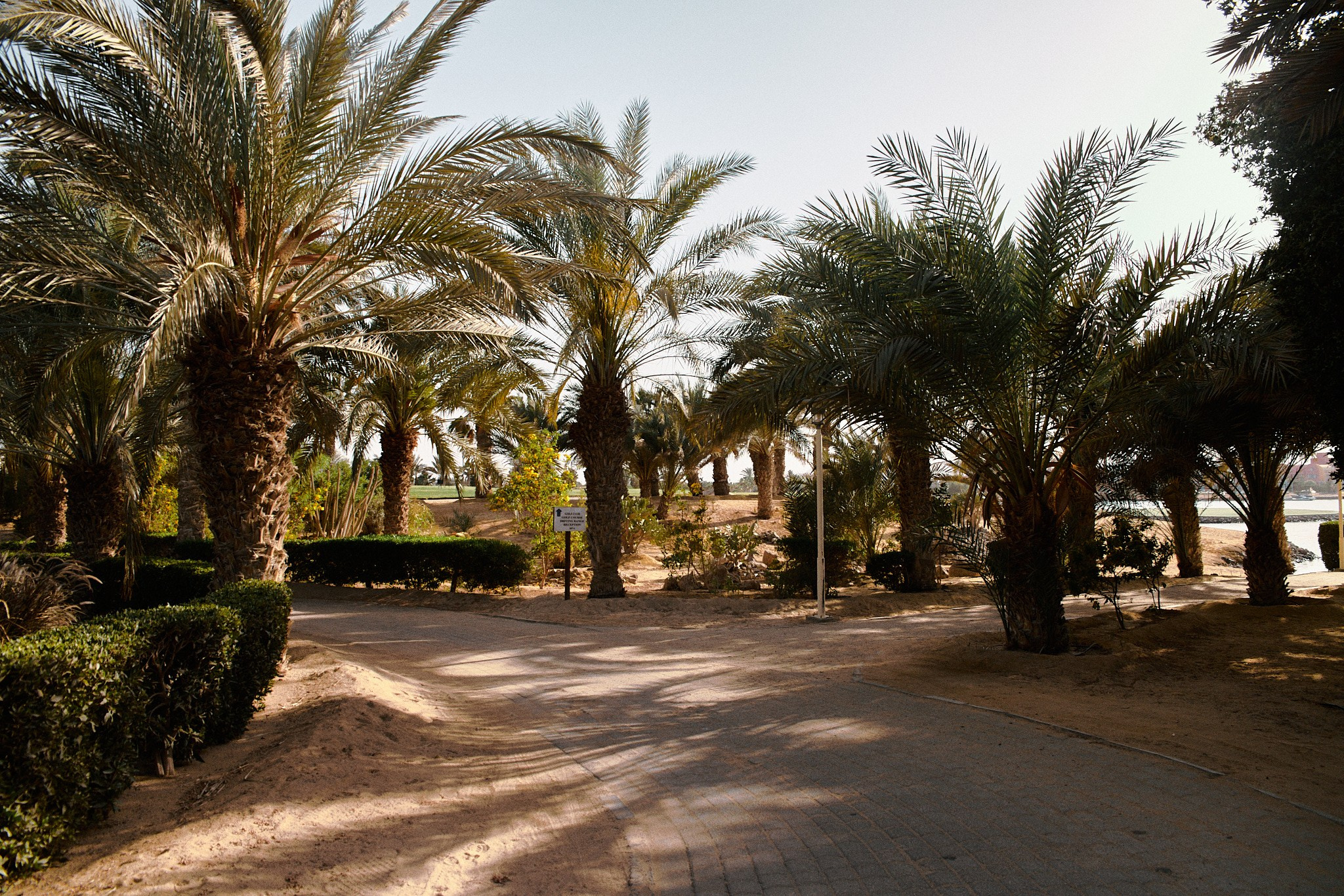 Улица горизонтальная. Jorgis — фотограф в Хургаде / обучение фотографии