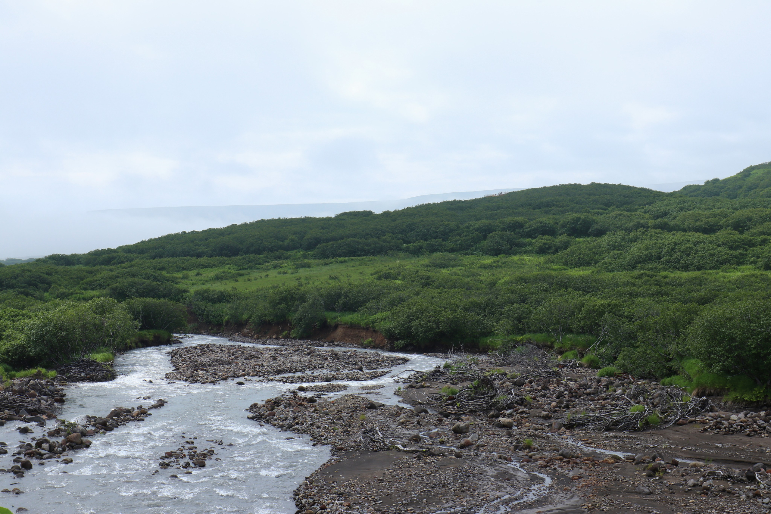 Камчатка и о. Парамушир. Июль 2024. Путешественник-фотограф из Санкт-Петербурга Татьяна Свистулина