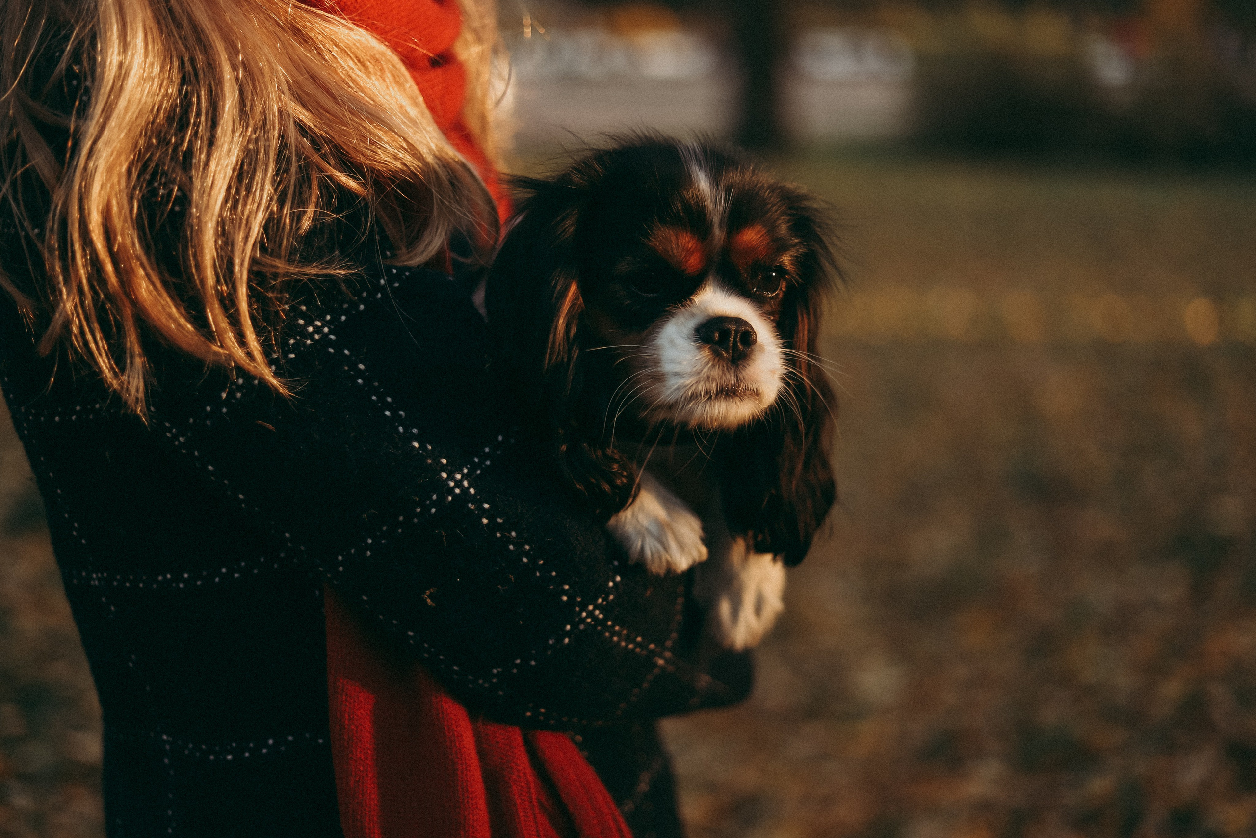 Виктория и семья. Фотограф Москва и Санкт-Петербург
