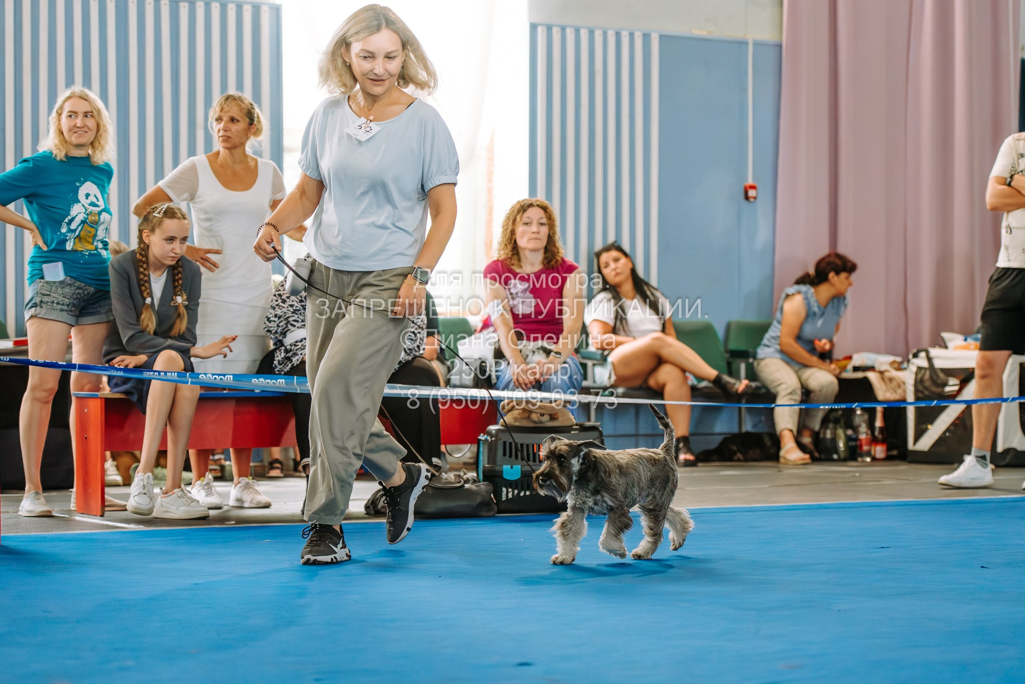 Национальная выставка собак всех пород ранга САС-IKU «Кубок Красноярск. Фотограф Диана Оленина Красноярск / Братск