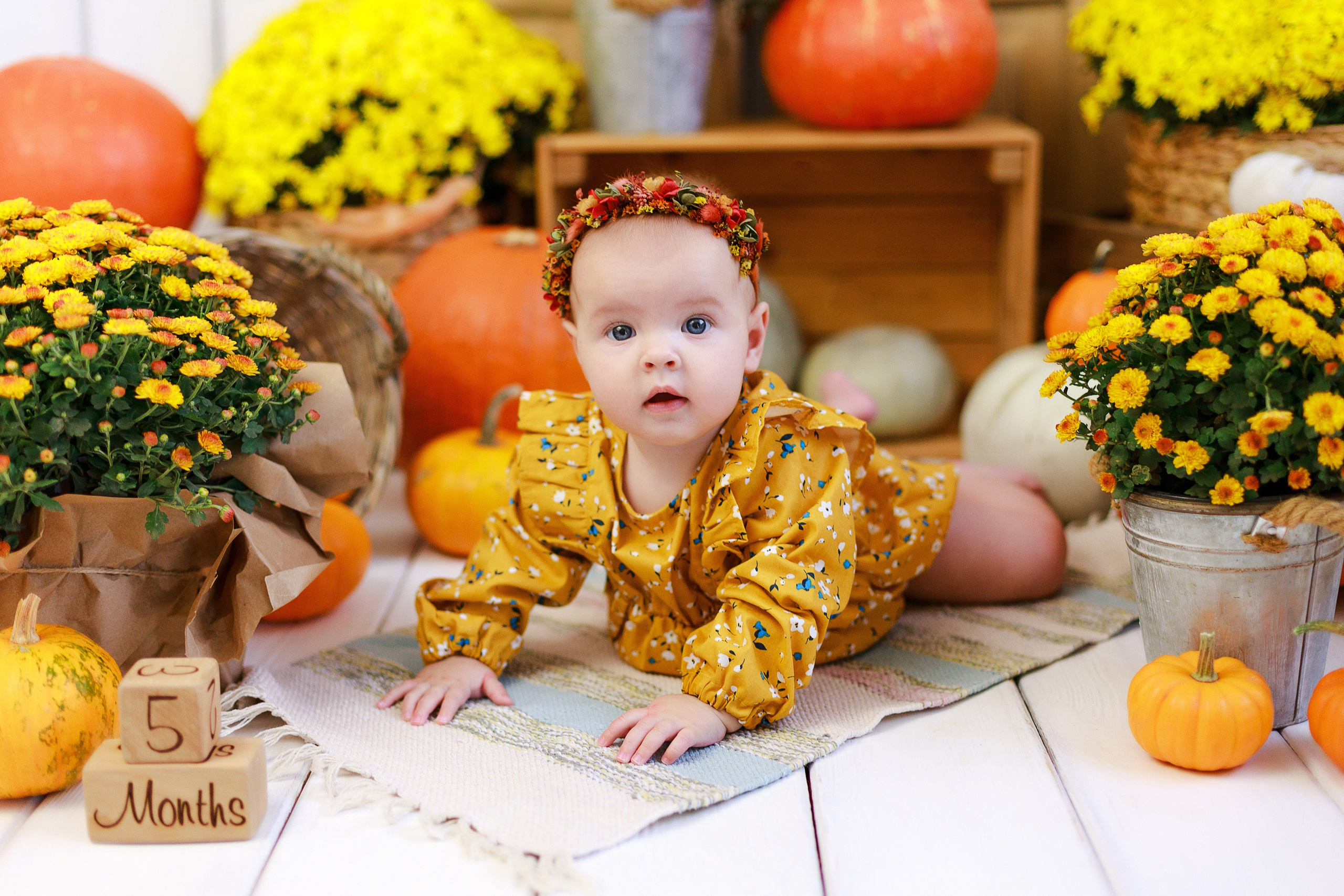 Осенняя детская фотосессия с тыквами и кроликом в Краснодаре. Детский и семейный фотограф в Краснодаре Альбина Морозова