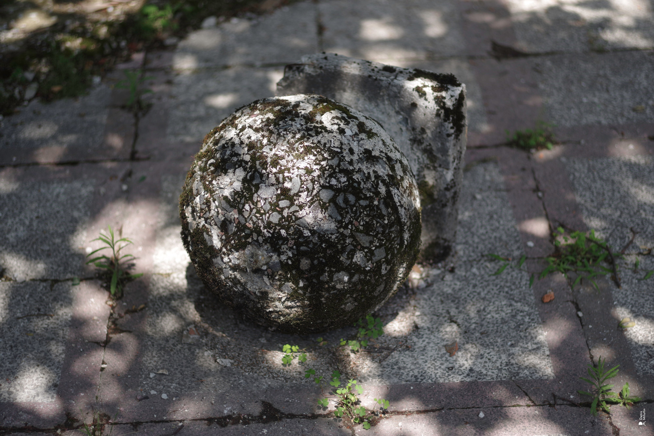 В отпуске с Артёмом. Портретный фотограф Денис Милютин