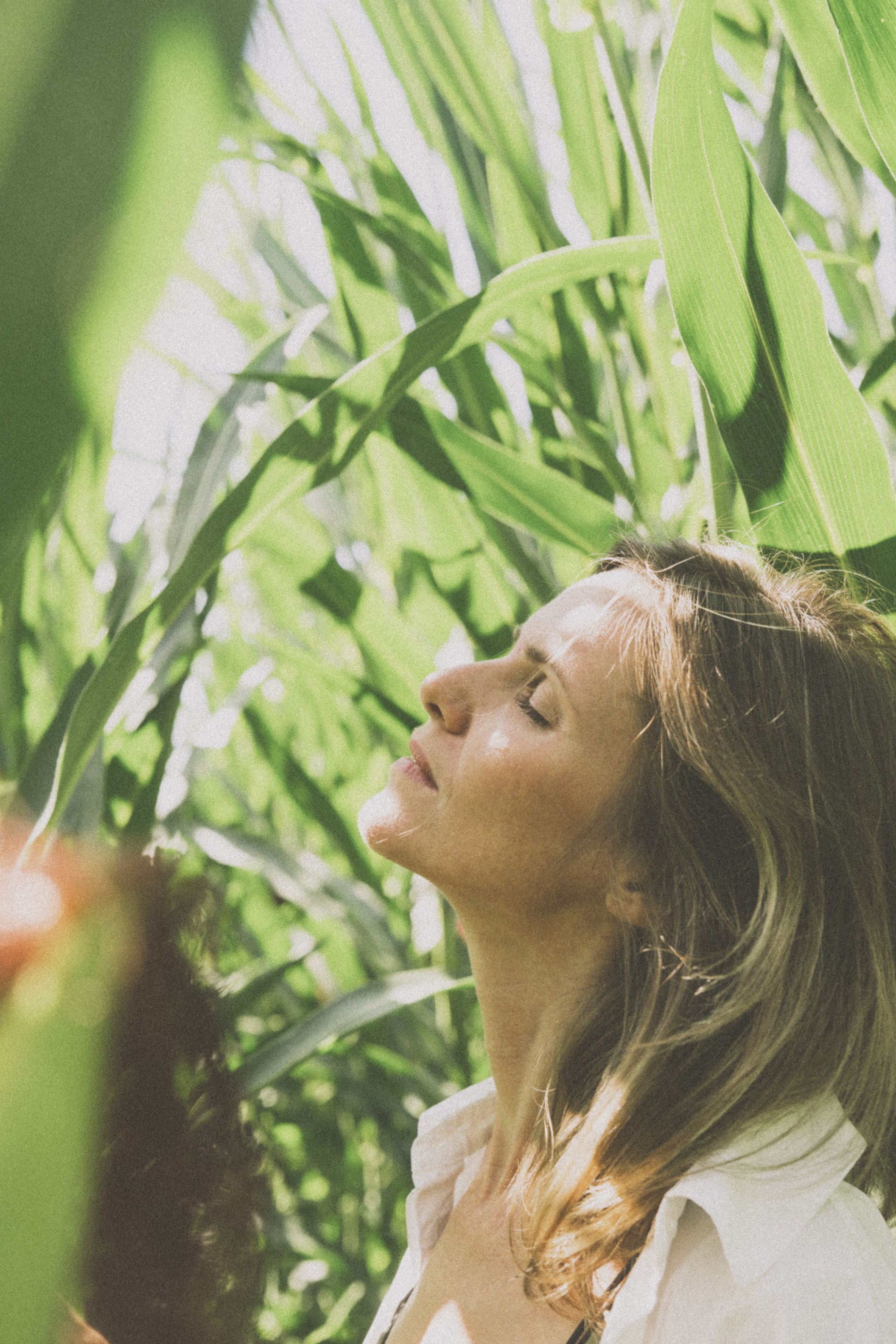 В кукурузном поле. Семейный фотограф Москва и Домодедово Ольга Игнатова