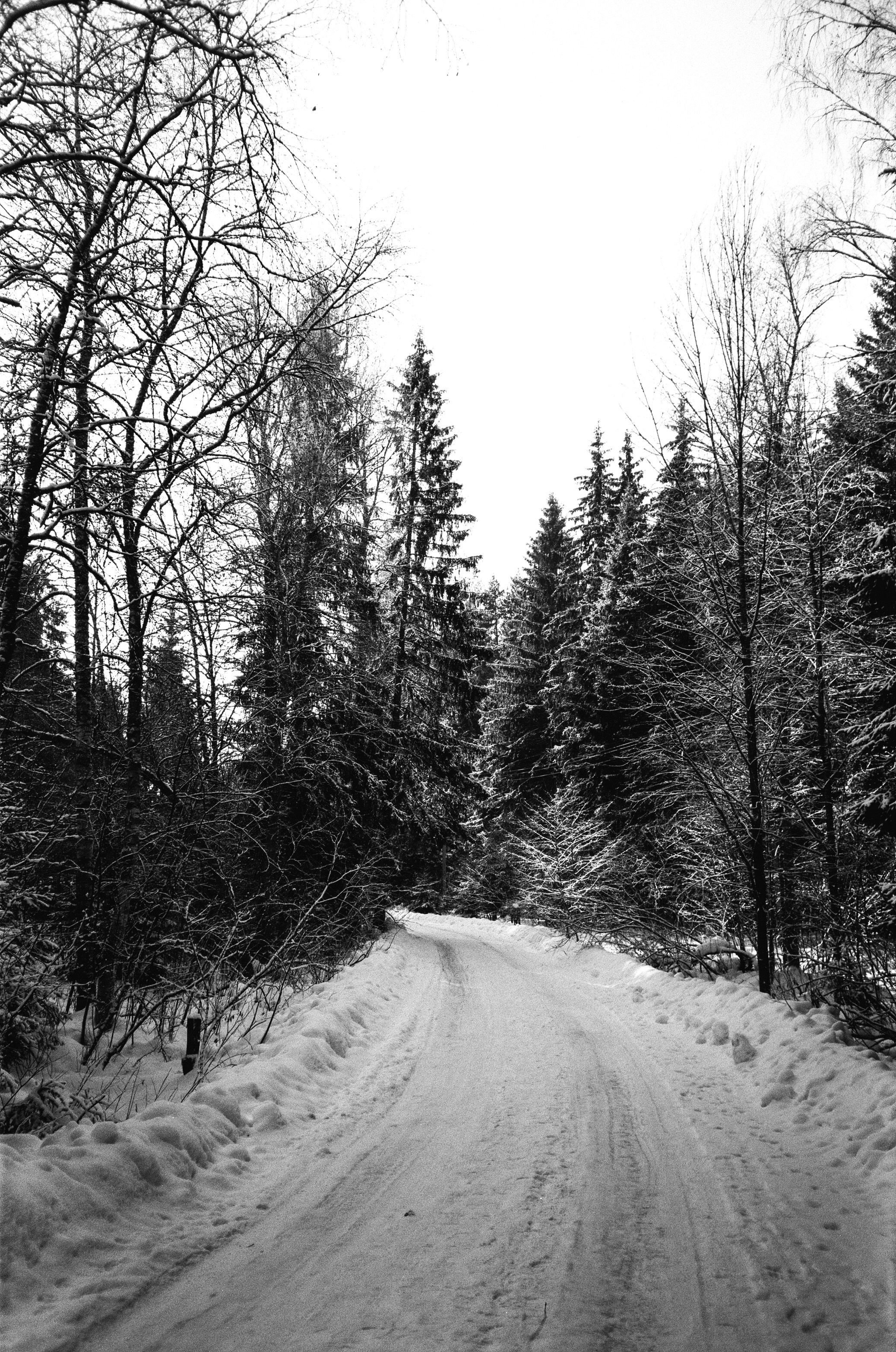 Nikon Action Touch (L35AW) / SFL T-25 / Давыдовское