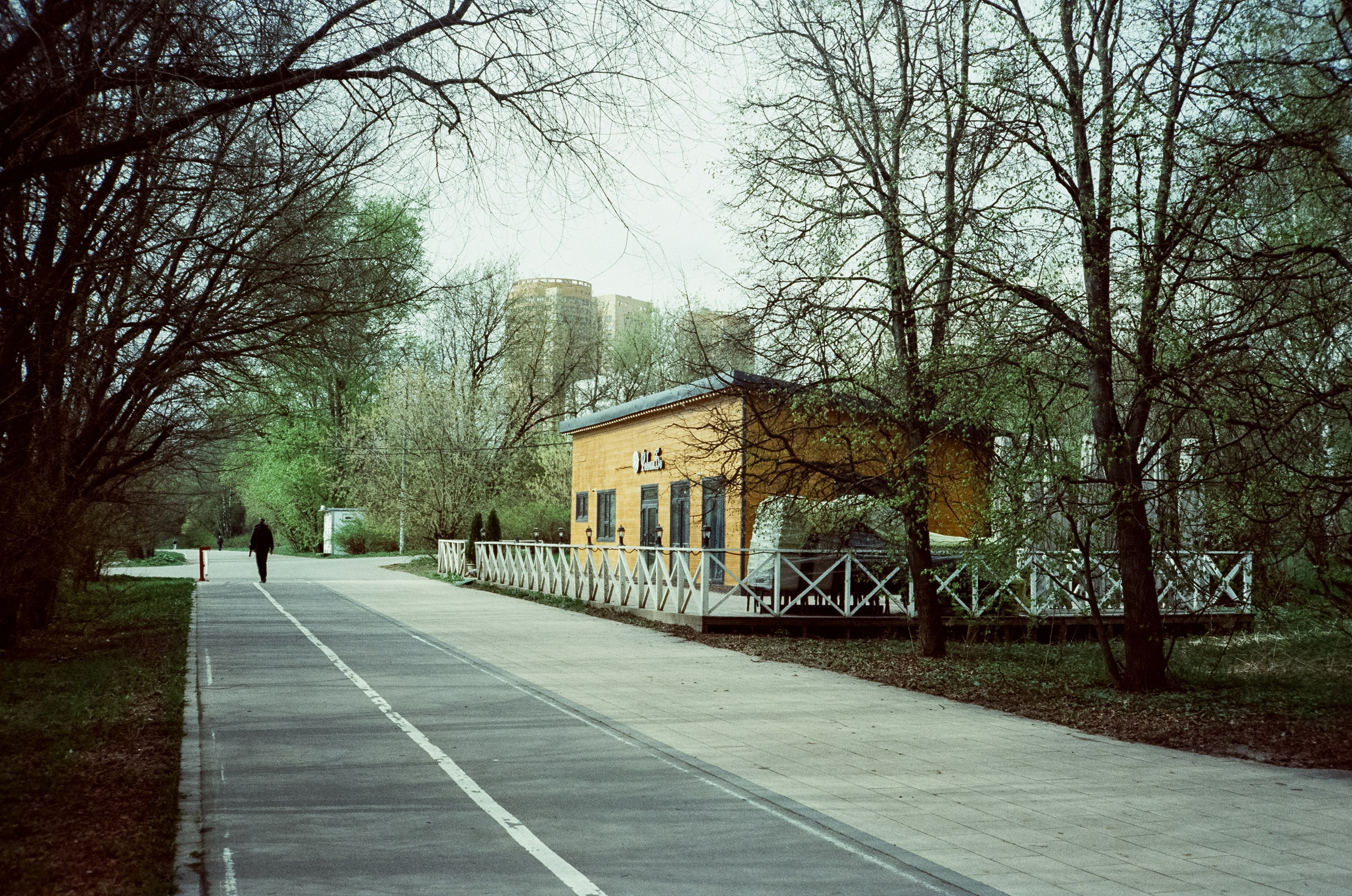 Ricoh 500GS / SFL 200T / Строгино тестовая пленка апрель 2024 г