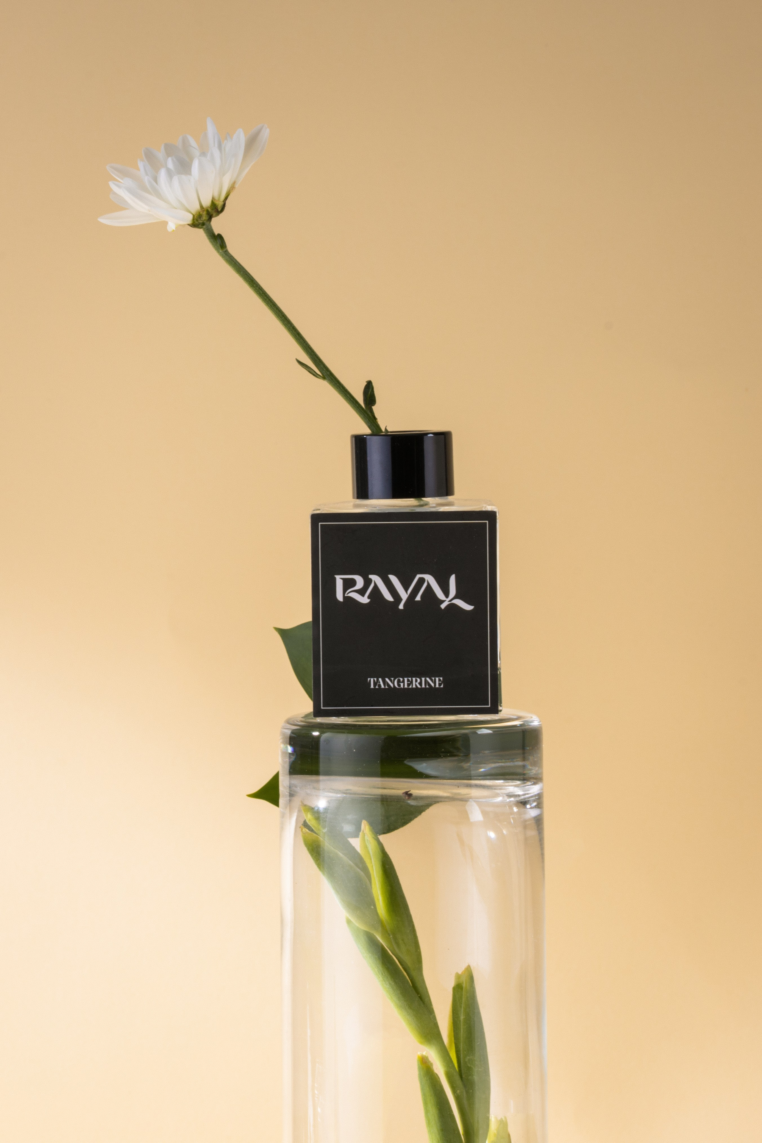 Parfum. Свадебный и студийный фотограф в Алматы Ильяс Кырбаев