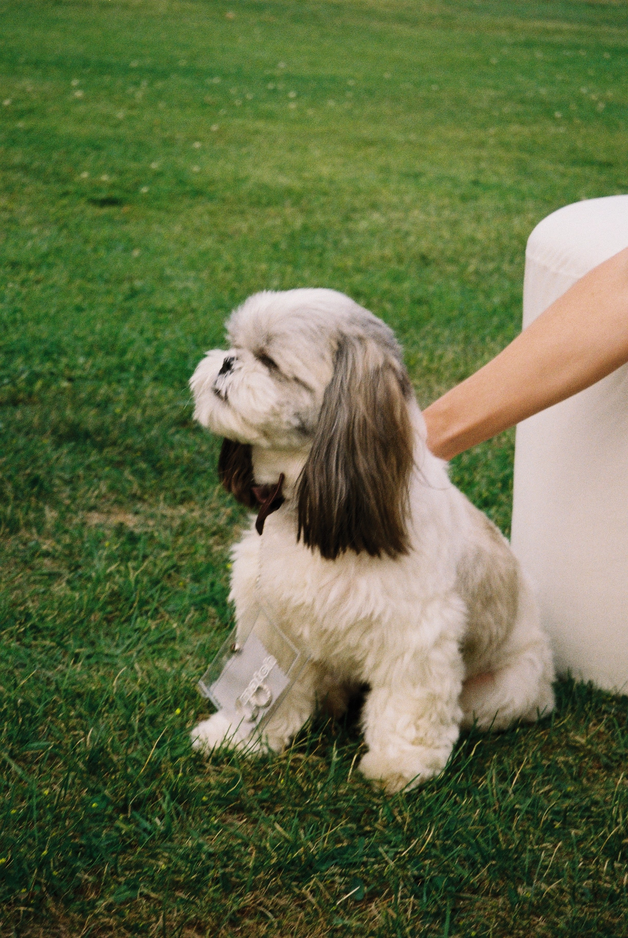 Yulia | Igor. Фотограф Ирина Гринько Тольятти Самара Москва