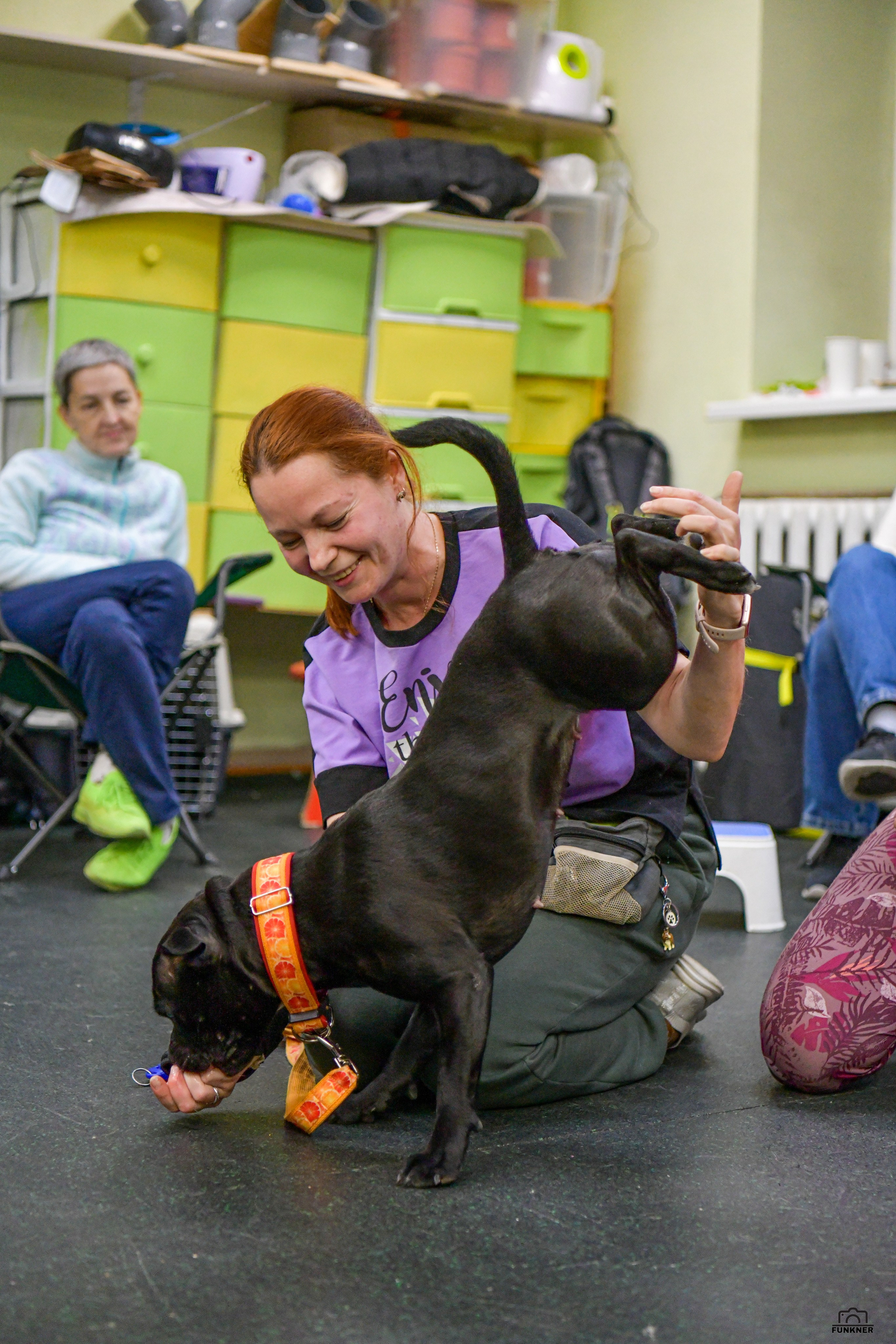 Кинологический клуб «Бодрый хвост». Свой взгляд через объектив