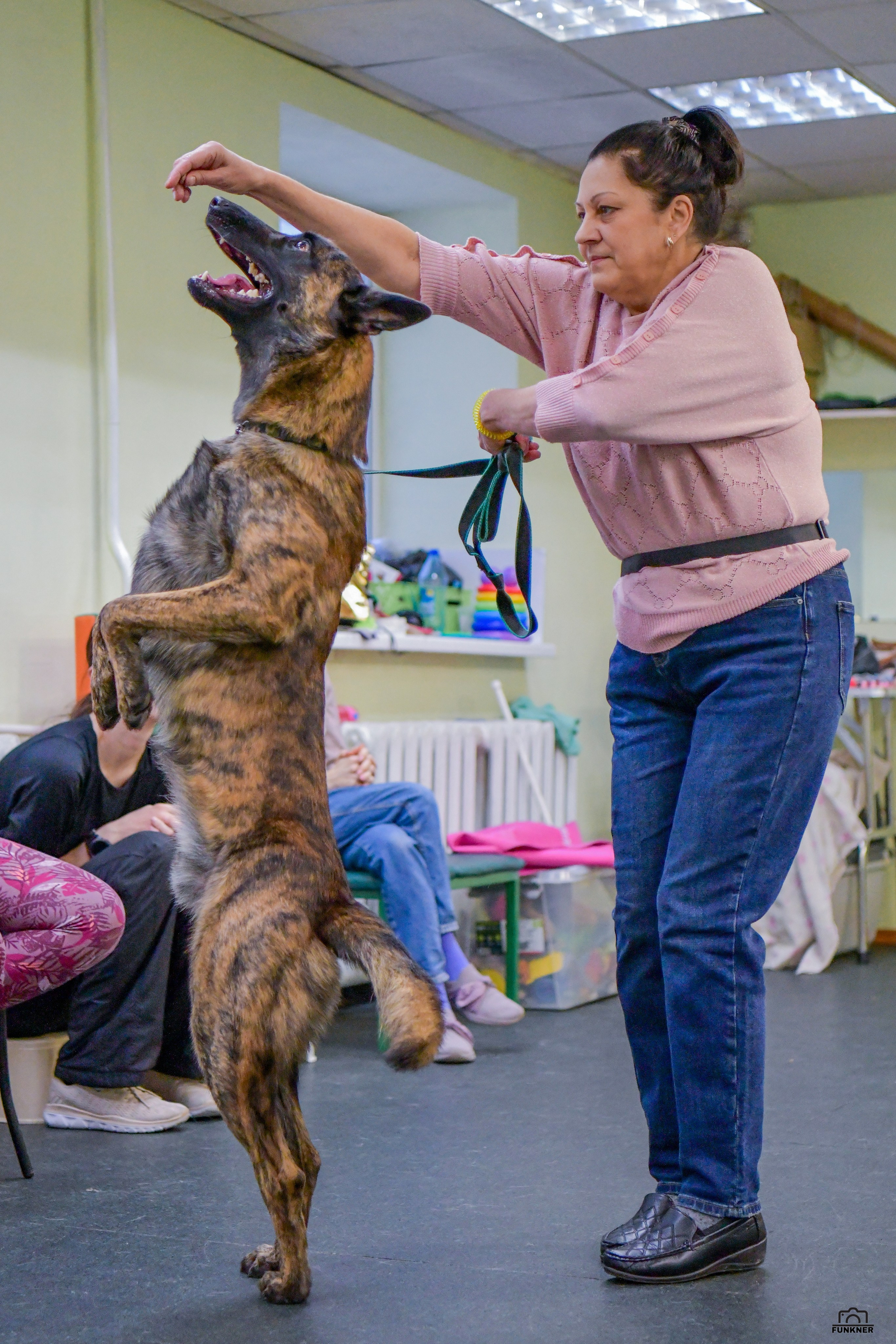 Кинологический клуб «Бодрый хвост». Свой взгляд через объектив