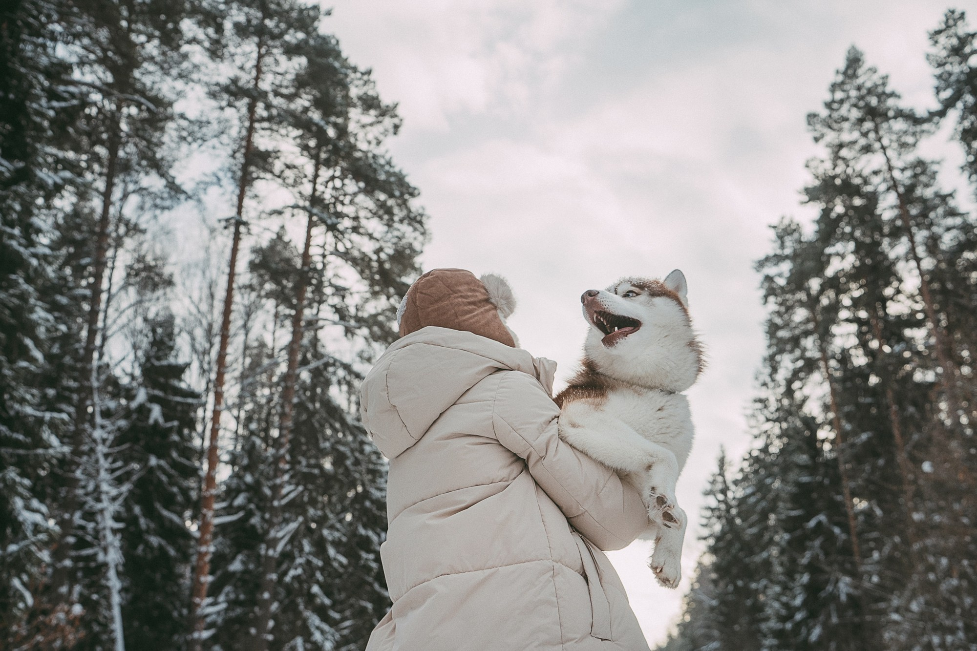 Полина, Уго и Пышка. Фотограф анималист в Москве и Санкт-Петербурге Свиридова Анна