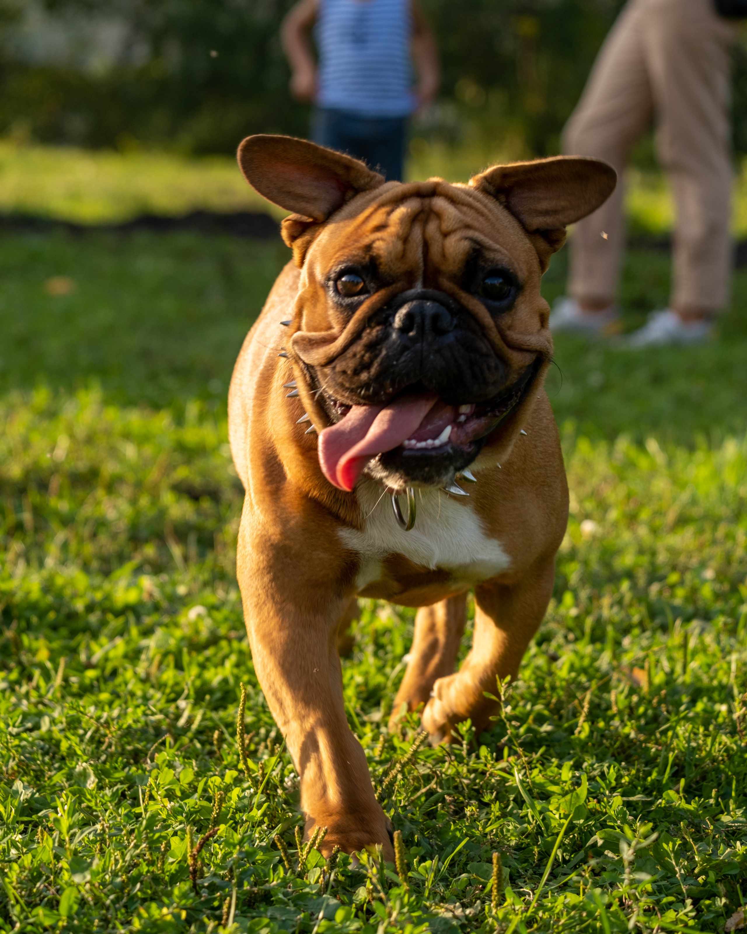 Открытие базы отдыха «Алтай Бали». Фотограф |Герасимова София
