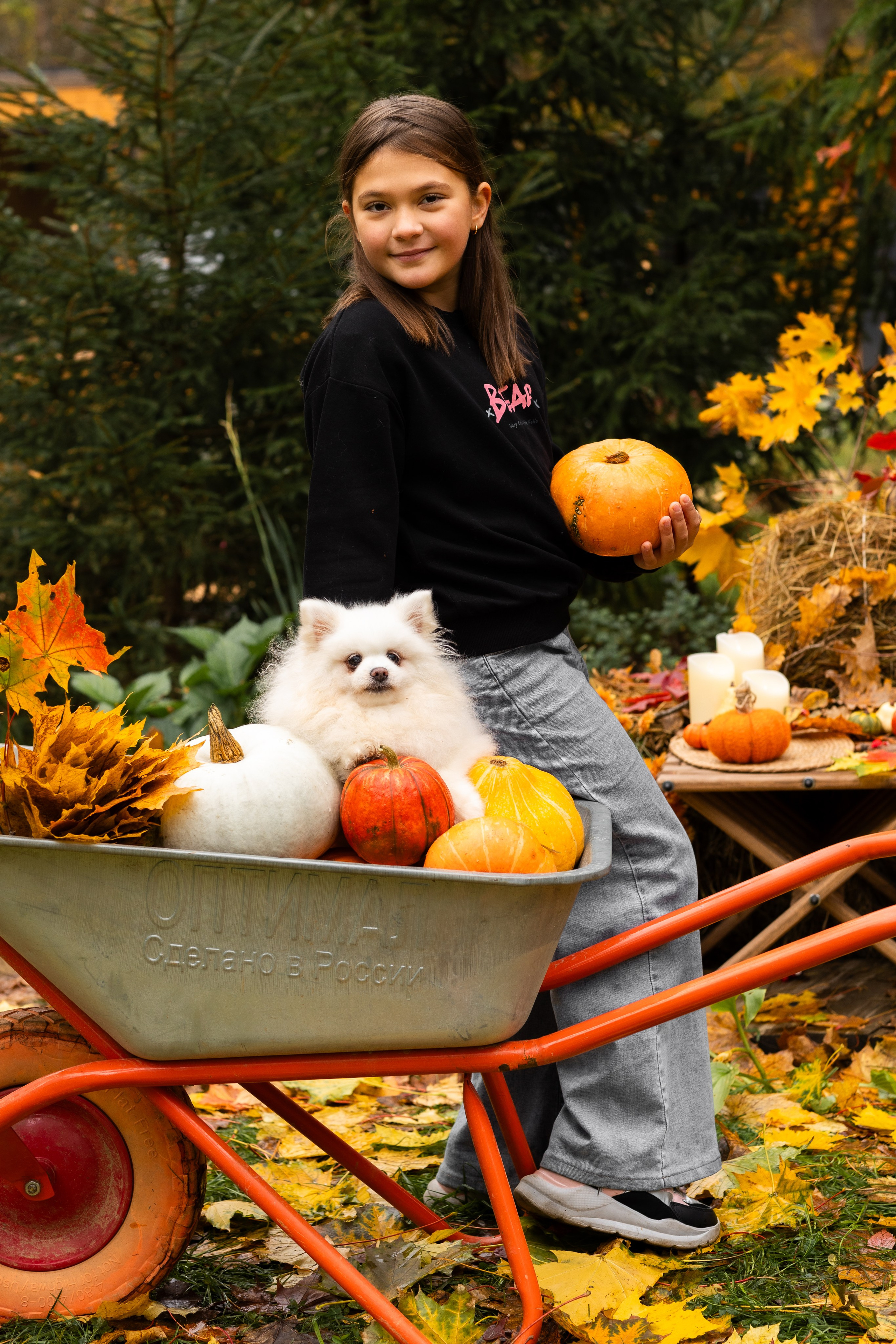 Осень. Профессиональный ретушер Москва и весь мир — Елена Тимченко