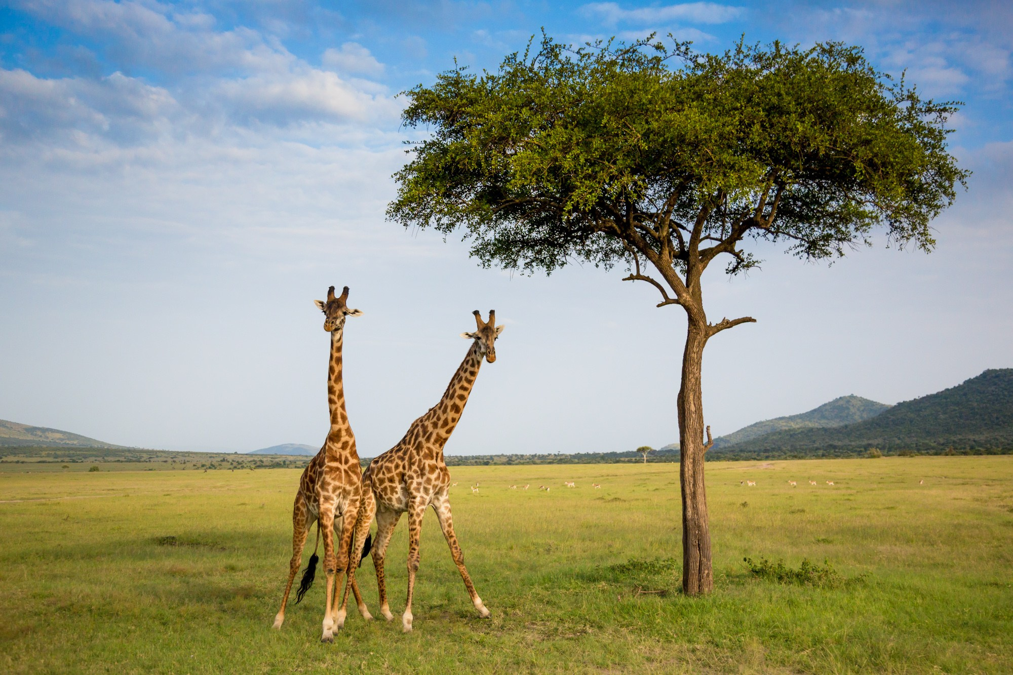 Фотограф Алексей Скоробогатько