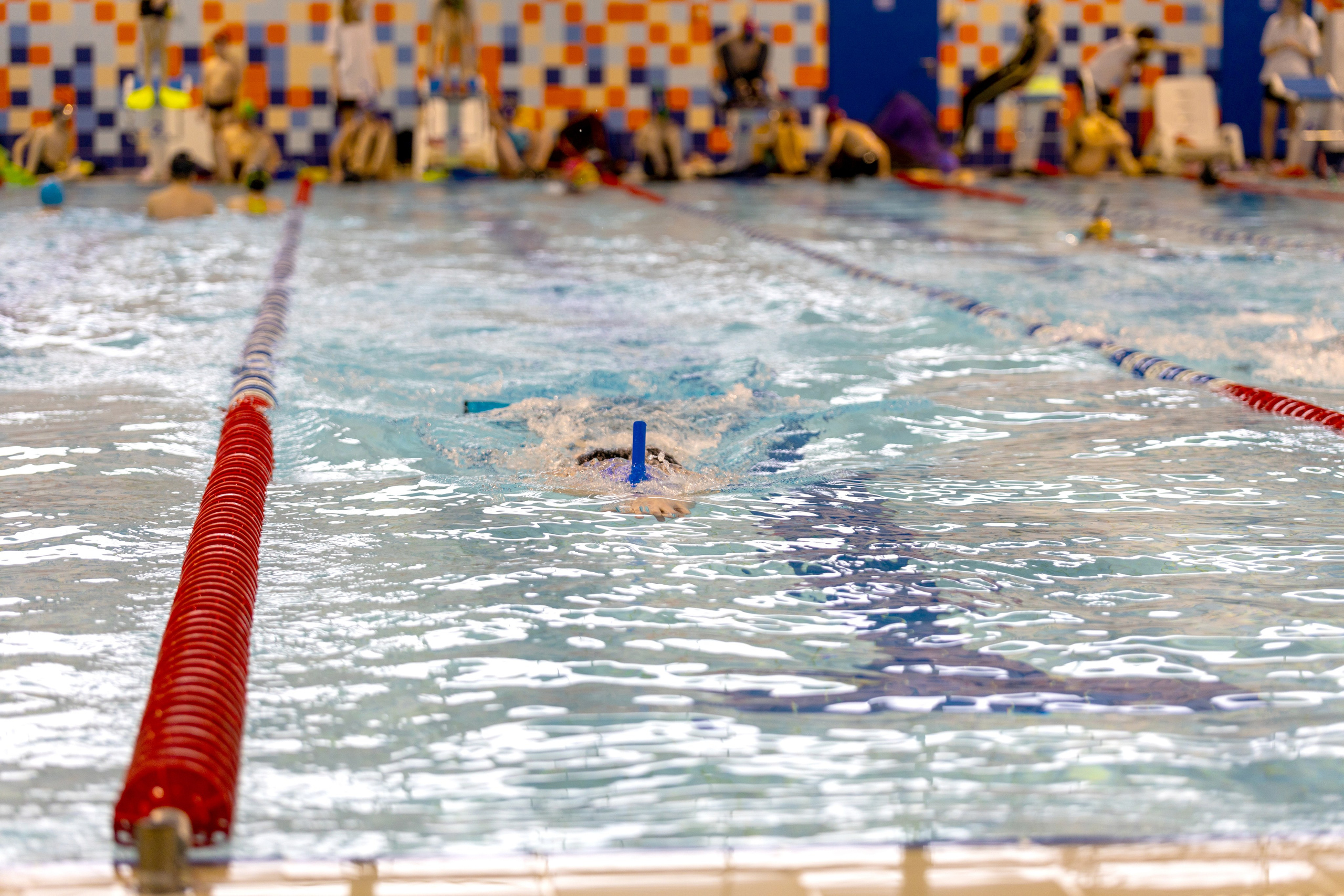 Плавание в ластах (разные годы, более 10 репортажей выборка пополняемая). Фотограф в Туле Крупский АнДРей. Фотостудия «КАДР71» в Туле