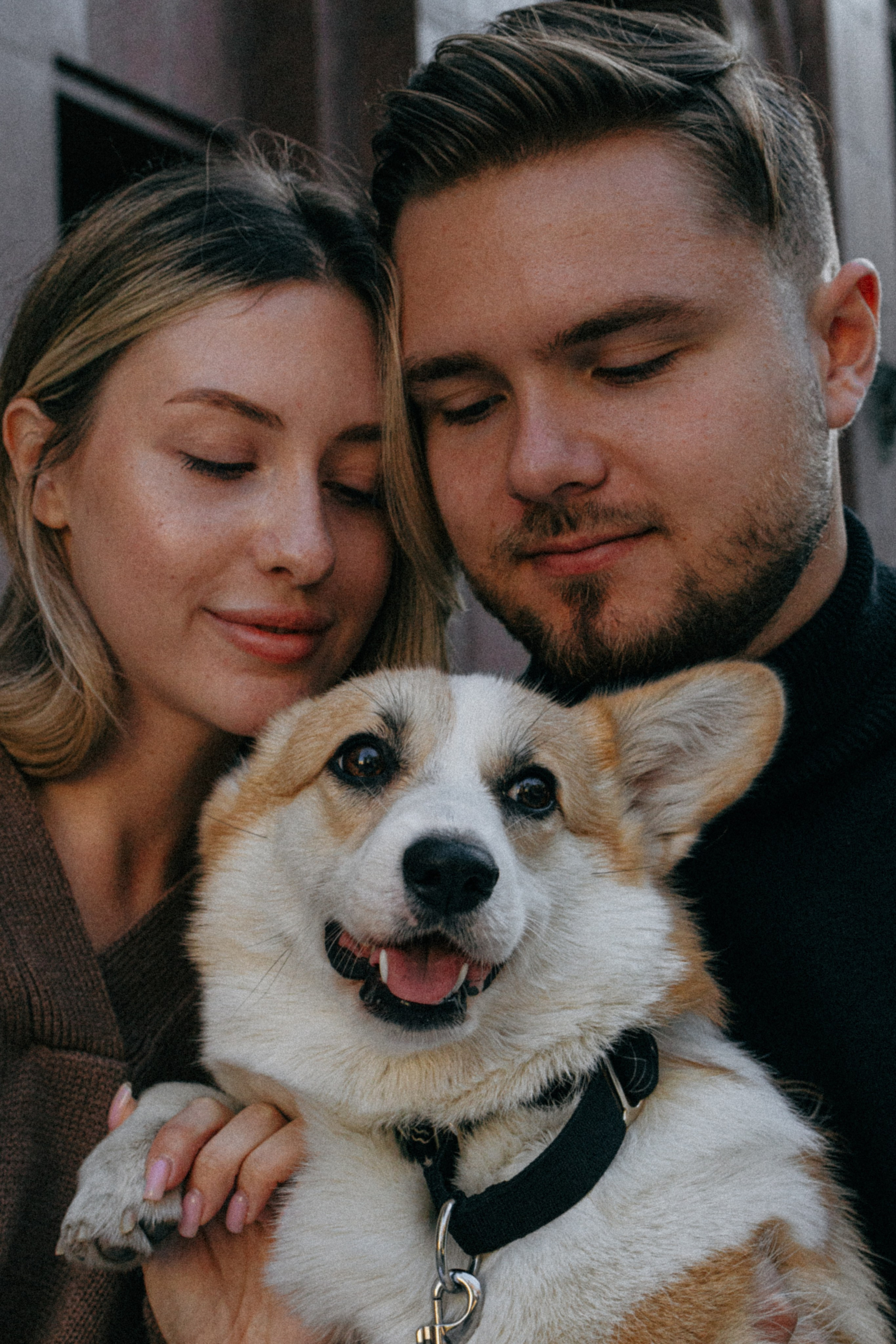 Даша, Рома и Лесли. Фотораф — анималист Мария Шистка